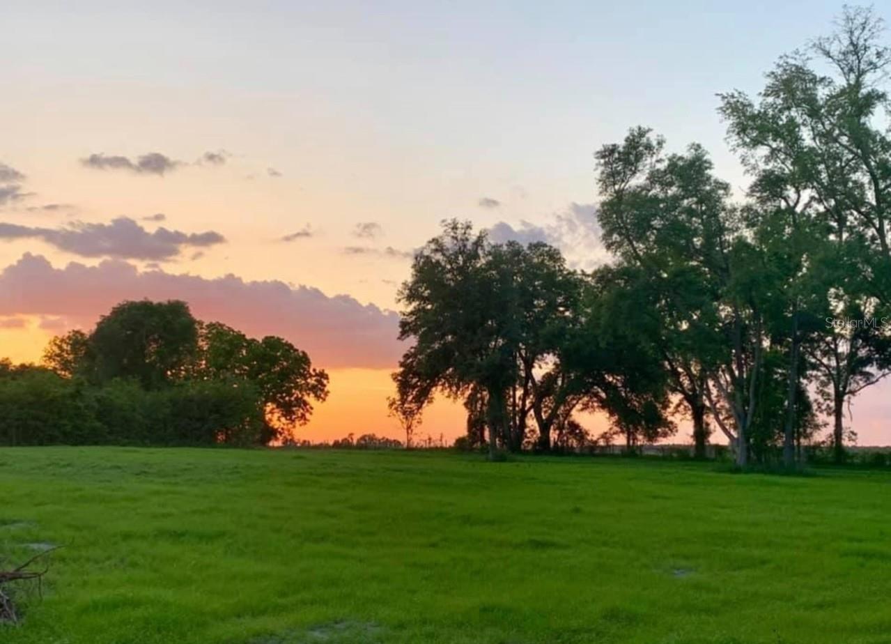 450 NW 140TH ST, TRENTON, FL, 32693