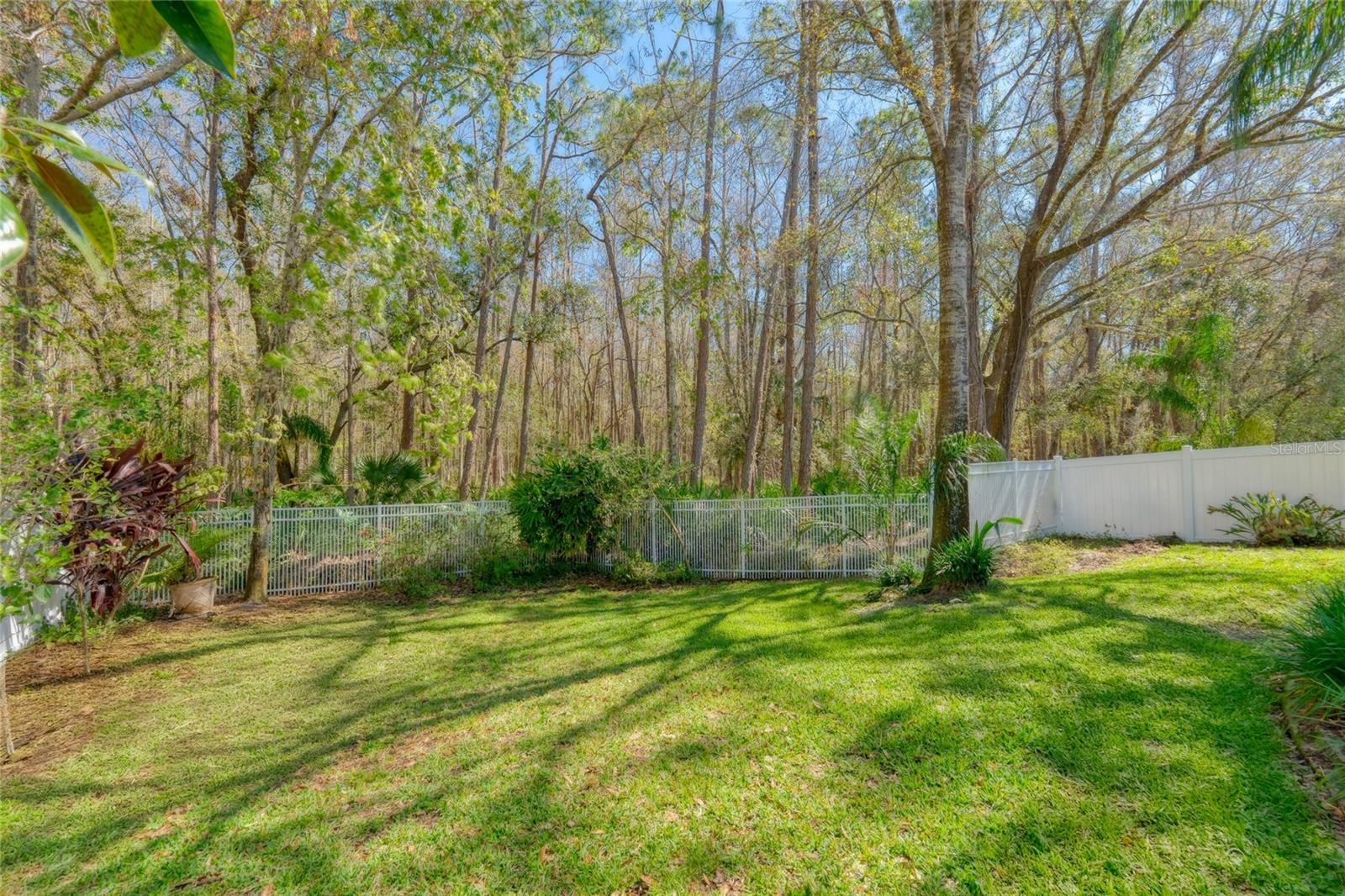 12956 ROYAL GEORGE AVE, ODESSA, FL, 33556