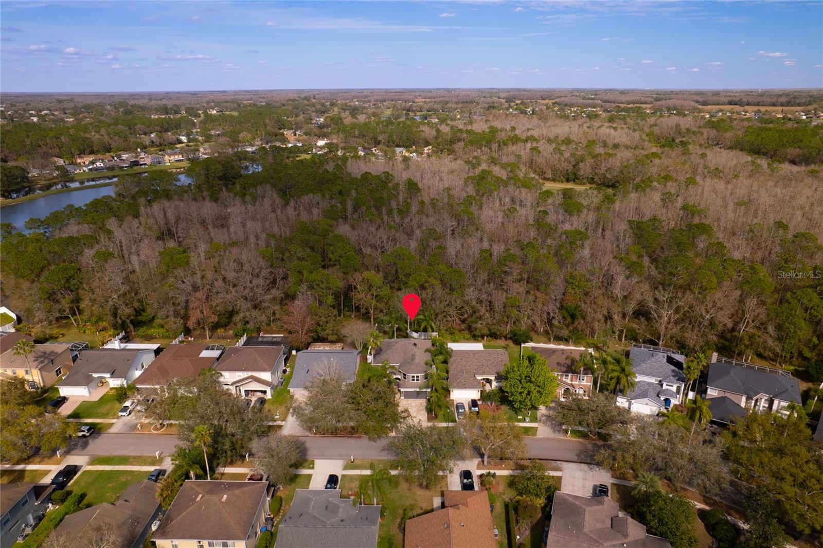 12956 ROYAL GEORGE AVE, ODESSA, FL, 33556