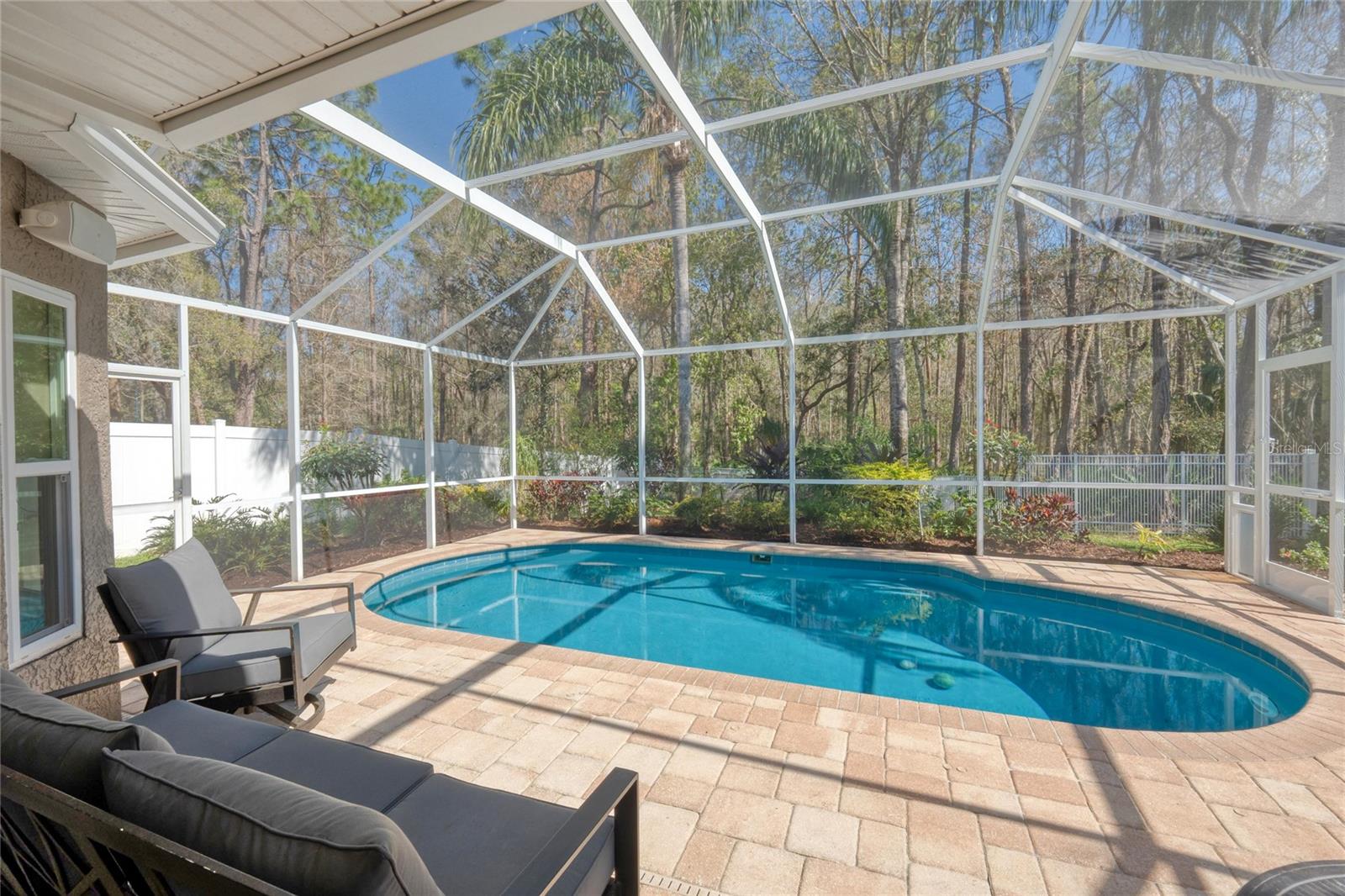 12956 ROYAL GEORGE AVE, ODESSA, FL, 33556