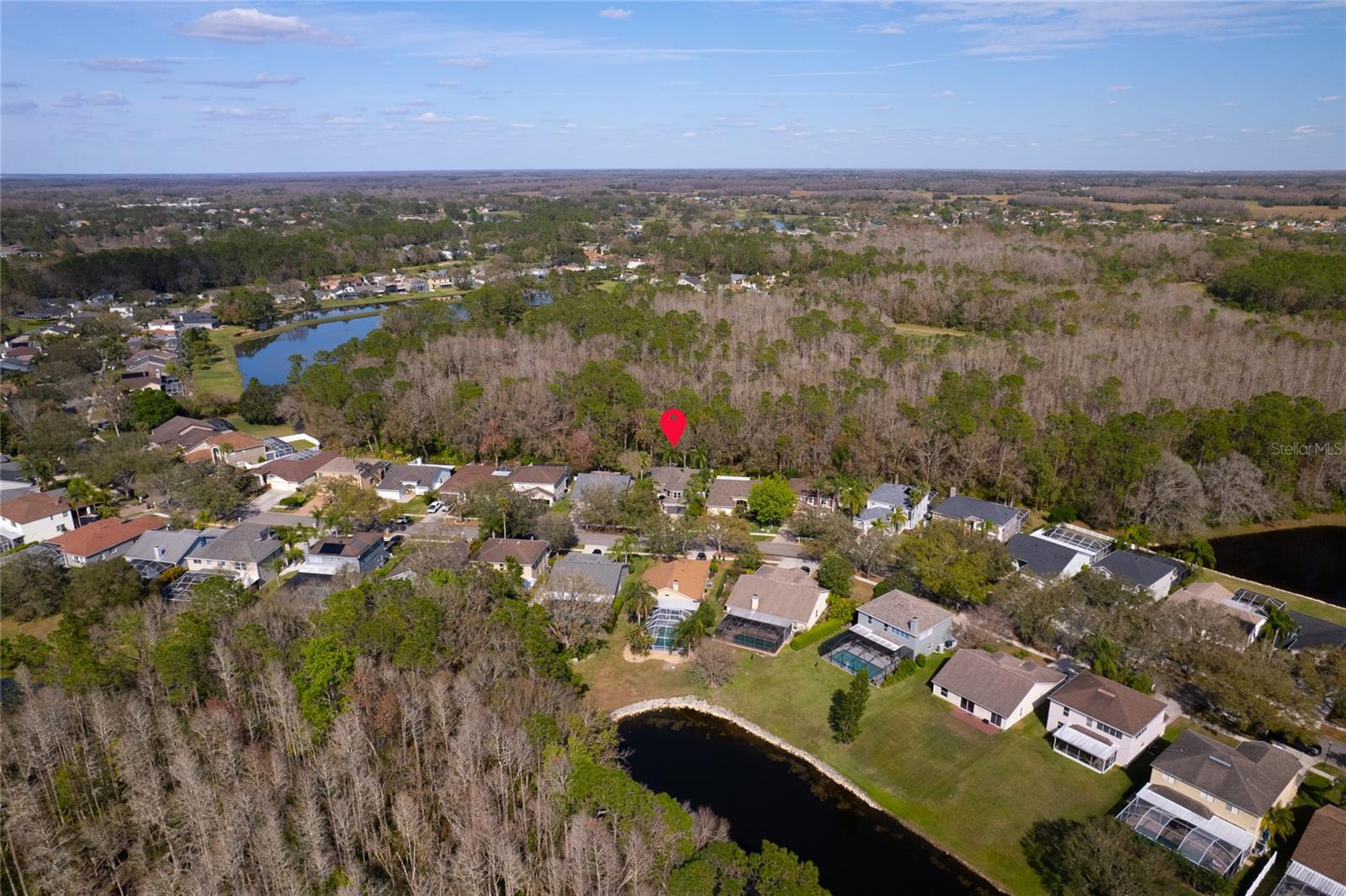 12956 ROYAL GEORGE AVE, ODESSA, FL, 33556