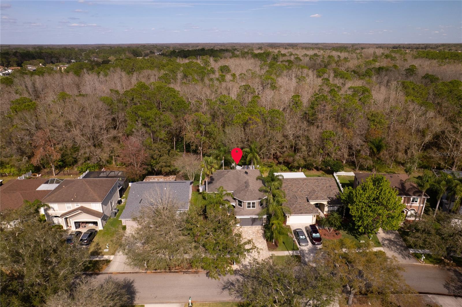 12956 ROYAL GEORGE AVE, ODESSA, FL, 33556