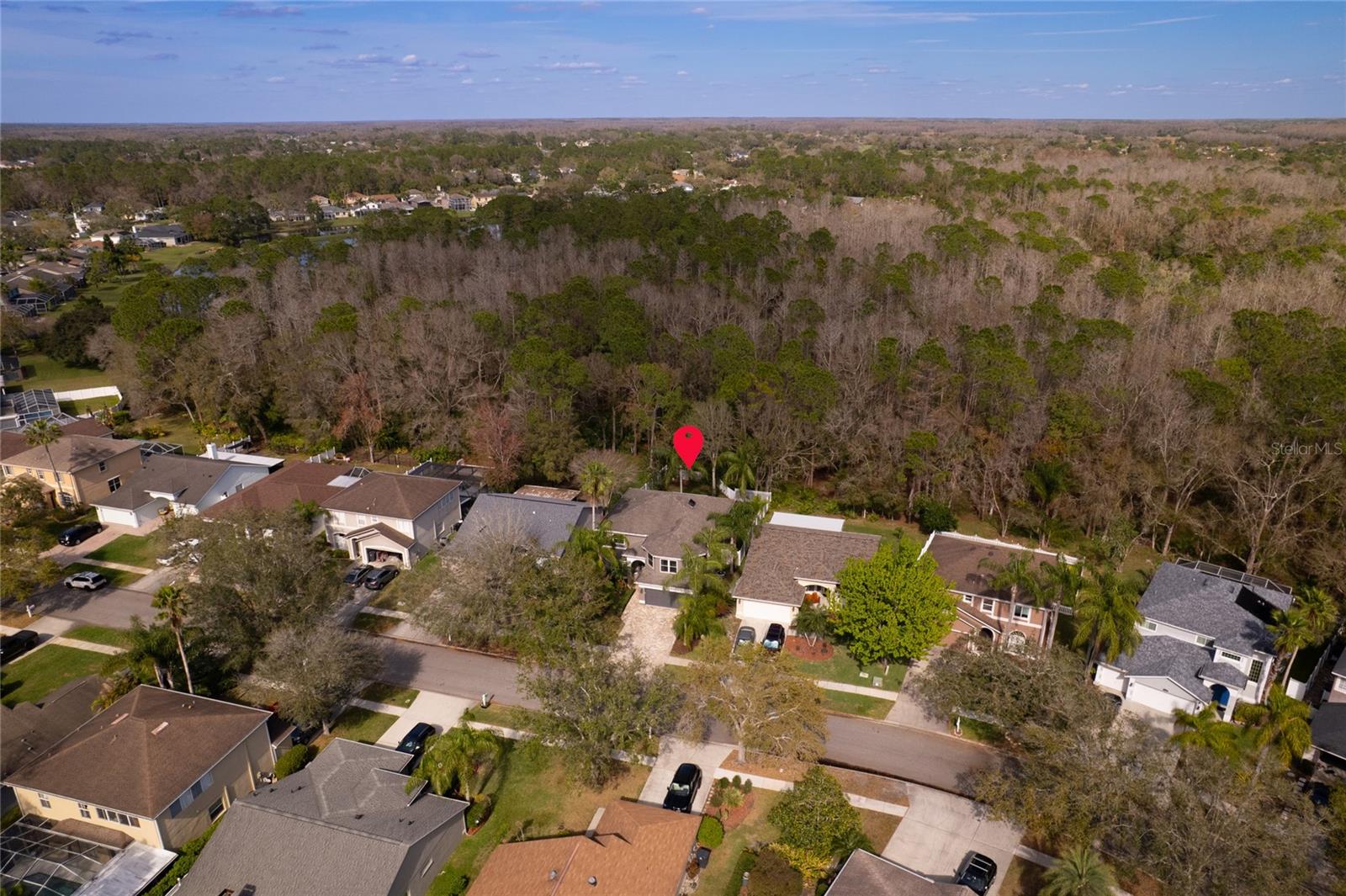 12956 ROYAL GEORGE AVE, ODESSA, FL, 33556