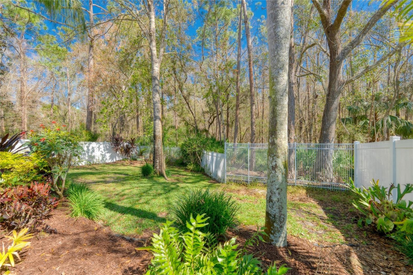 12956 ROYAL GEORGE AVE, ODESSA, FL, 33556