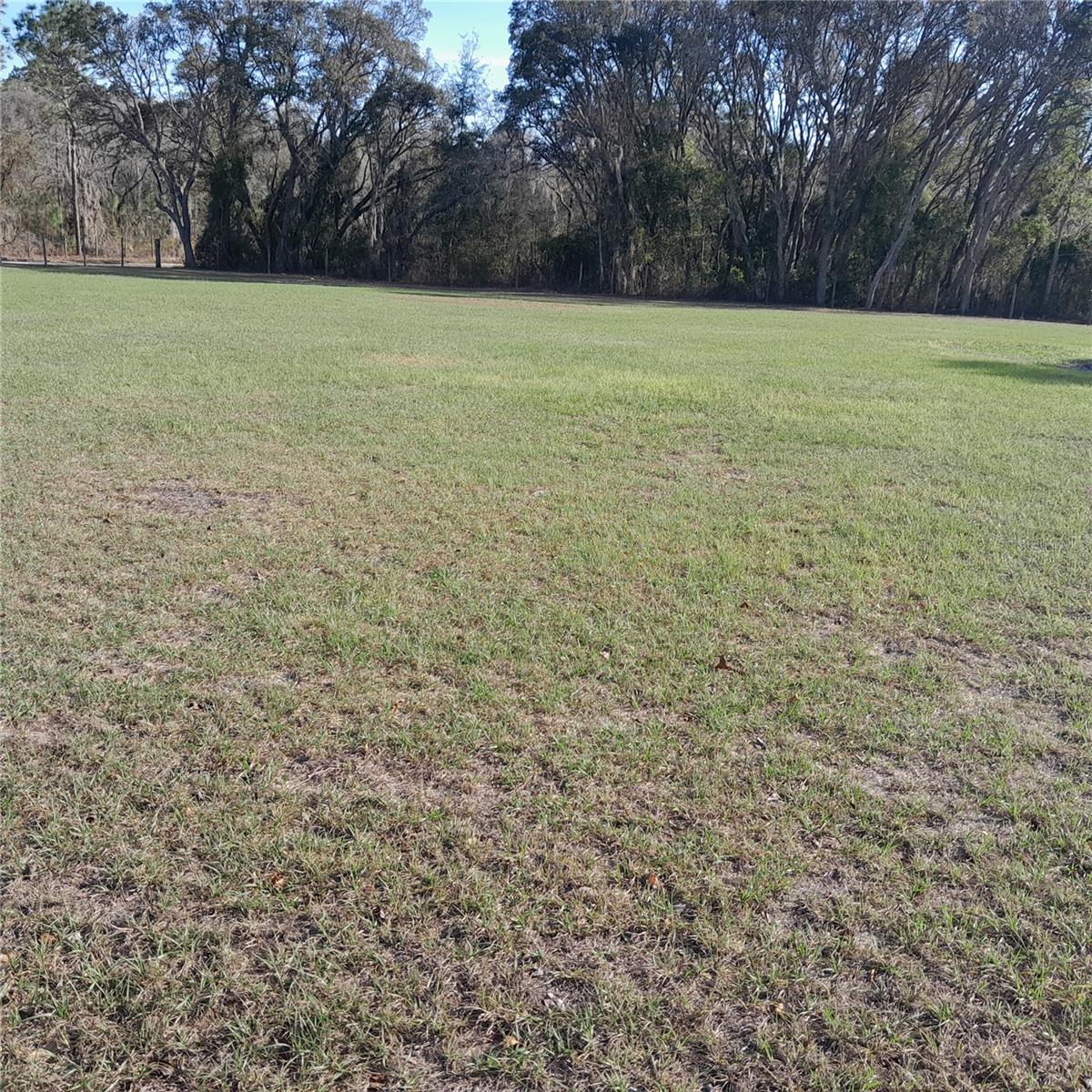 13870 SE 20TH ST, MORRISTON, FL, 32668