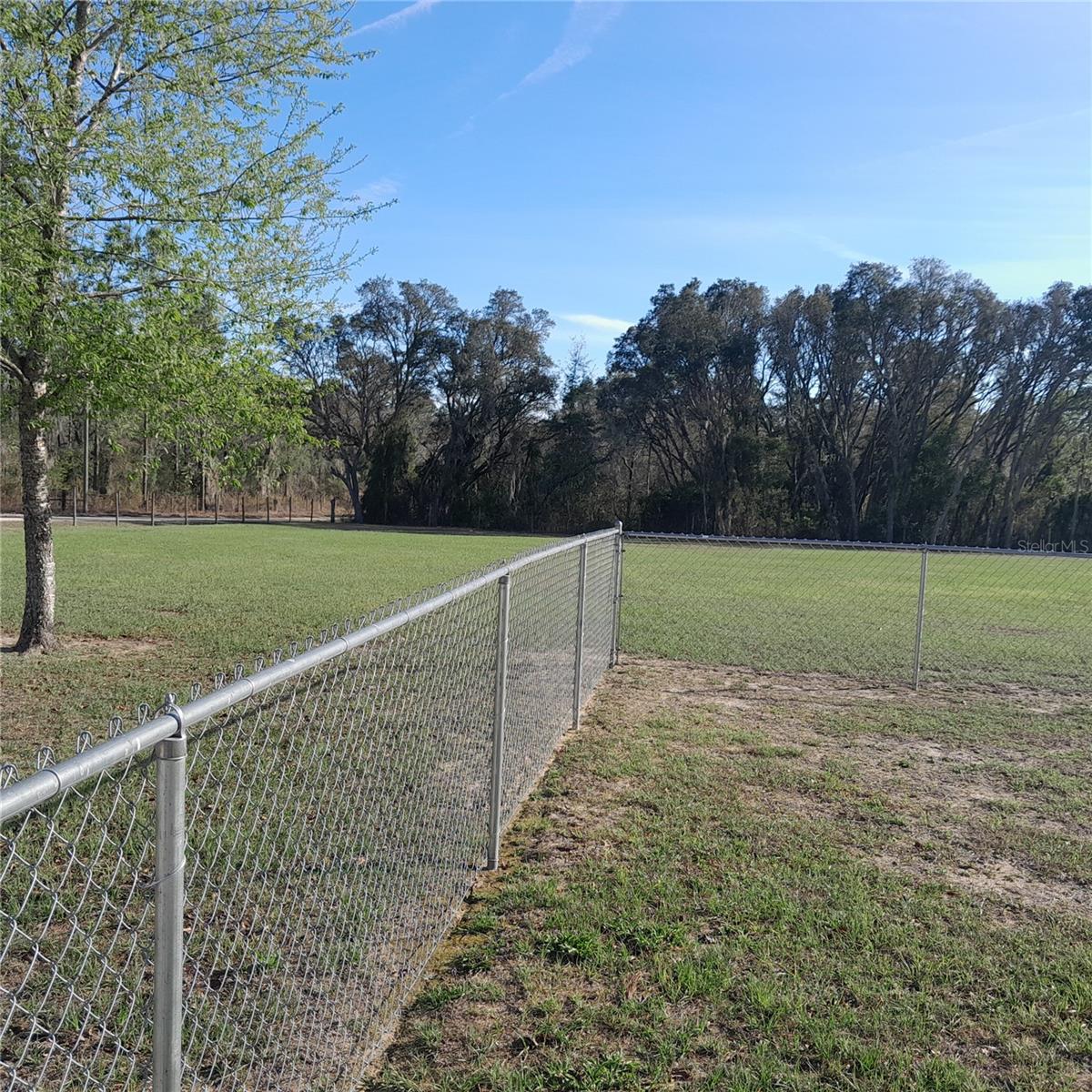 13870 SE 20TH ST, MORRISTON, FL, 32668