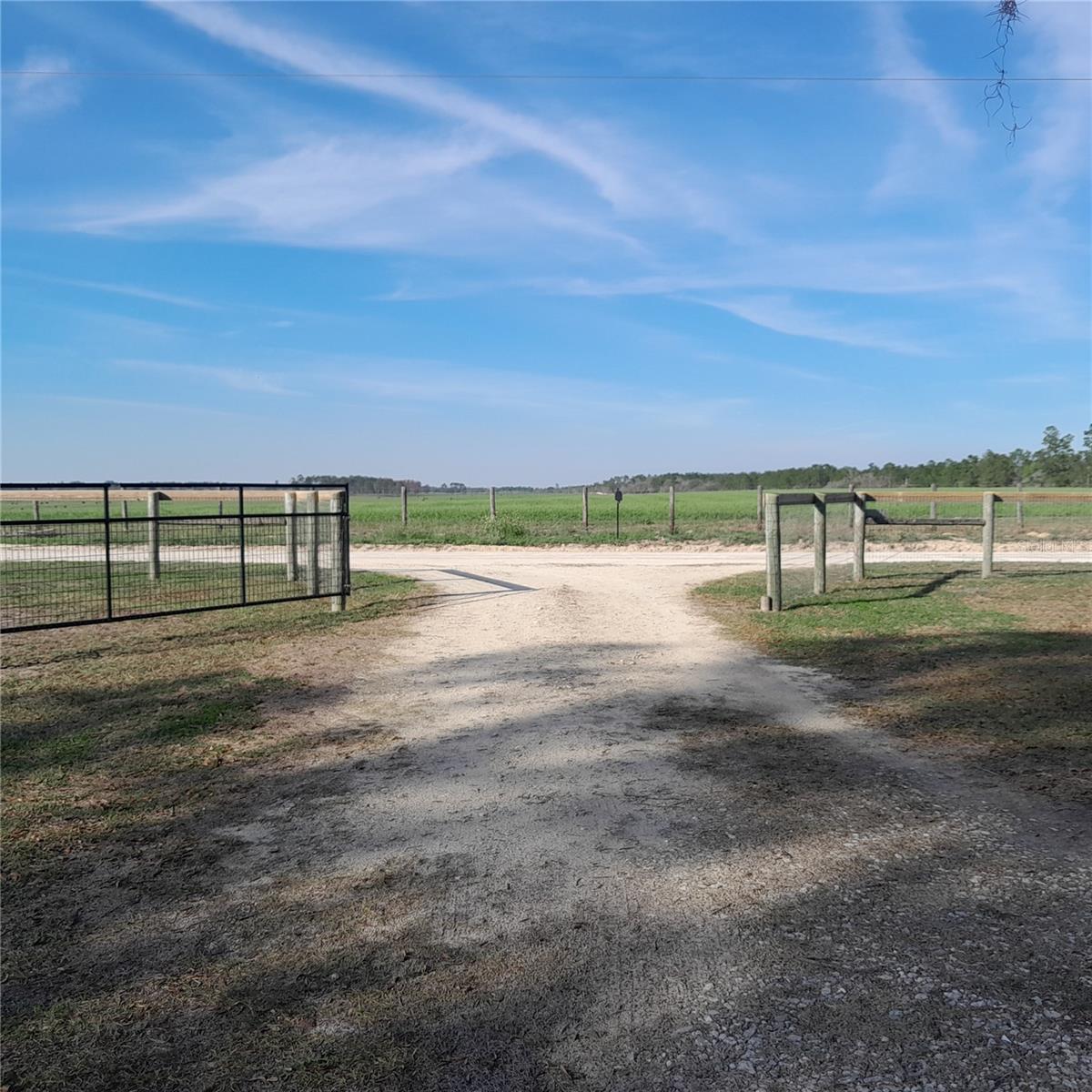 13870 SE 20TH ST, MORRISTON, FL, 32668