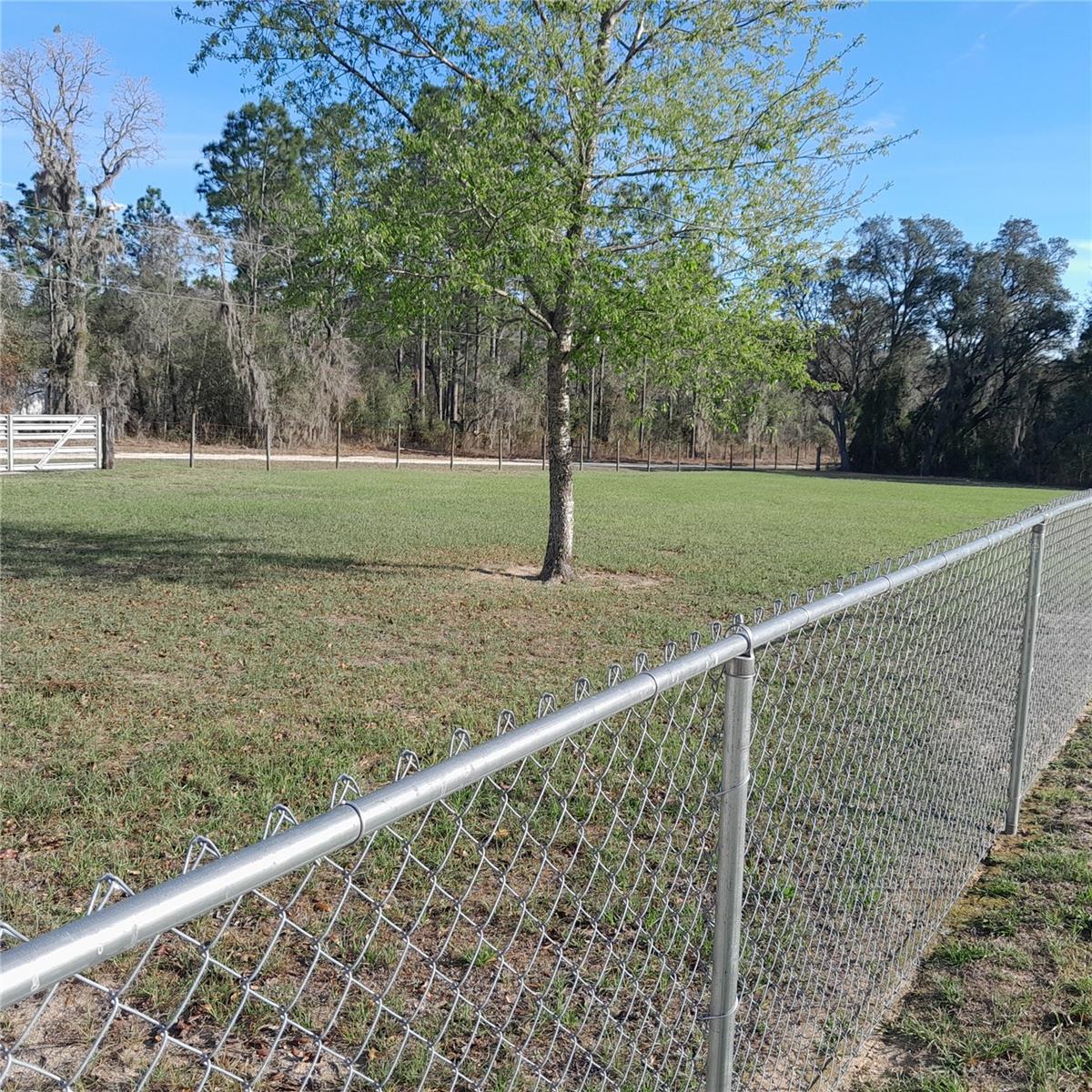 13870 SE 20TH ST, MORRISTON, FL, 32668