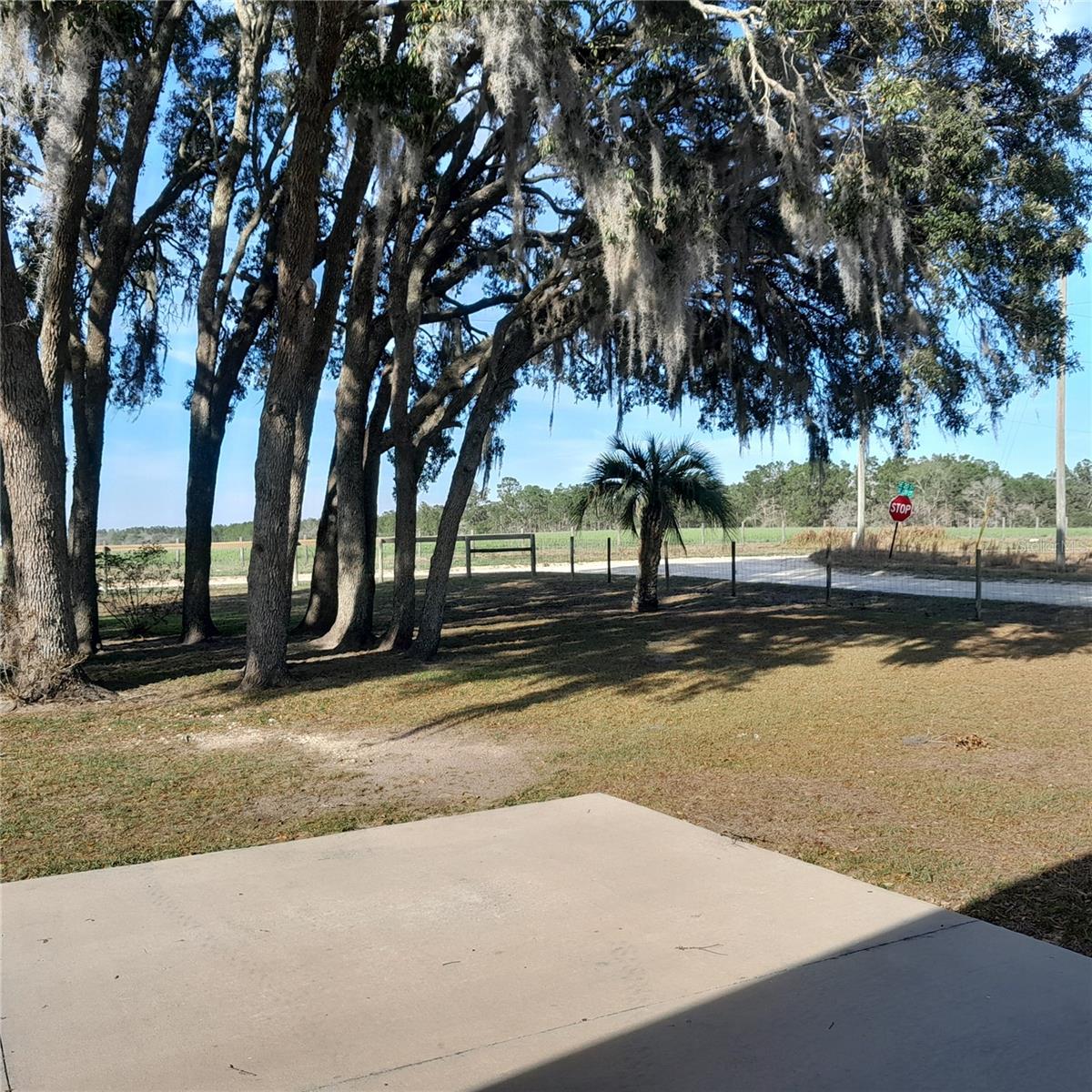 13870 SE 20TH ST, MORRISTON, FL, 32668