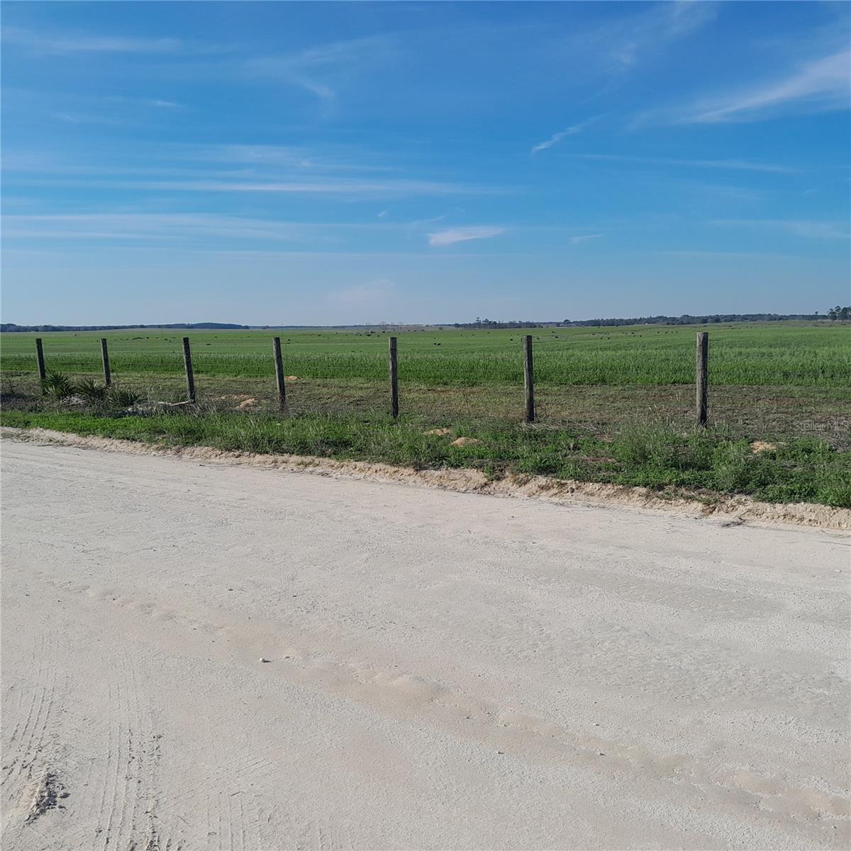 13870 SE 20TH ST, MORRISTON, FL, 32668