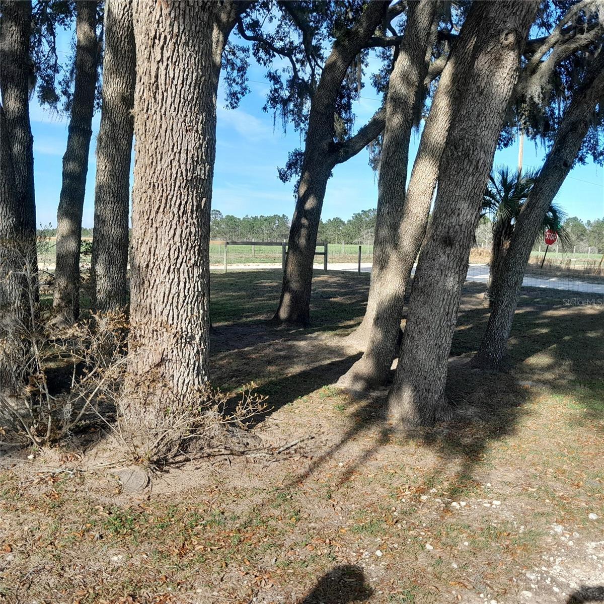 13870 SE 20TH ST, MORRISTON, FL, 32668