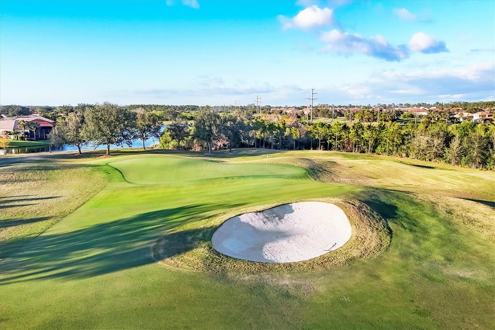217 SAVONA WAY, NORTH VENICE, FL, 34275