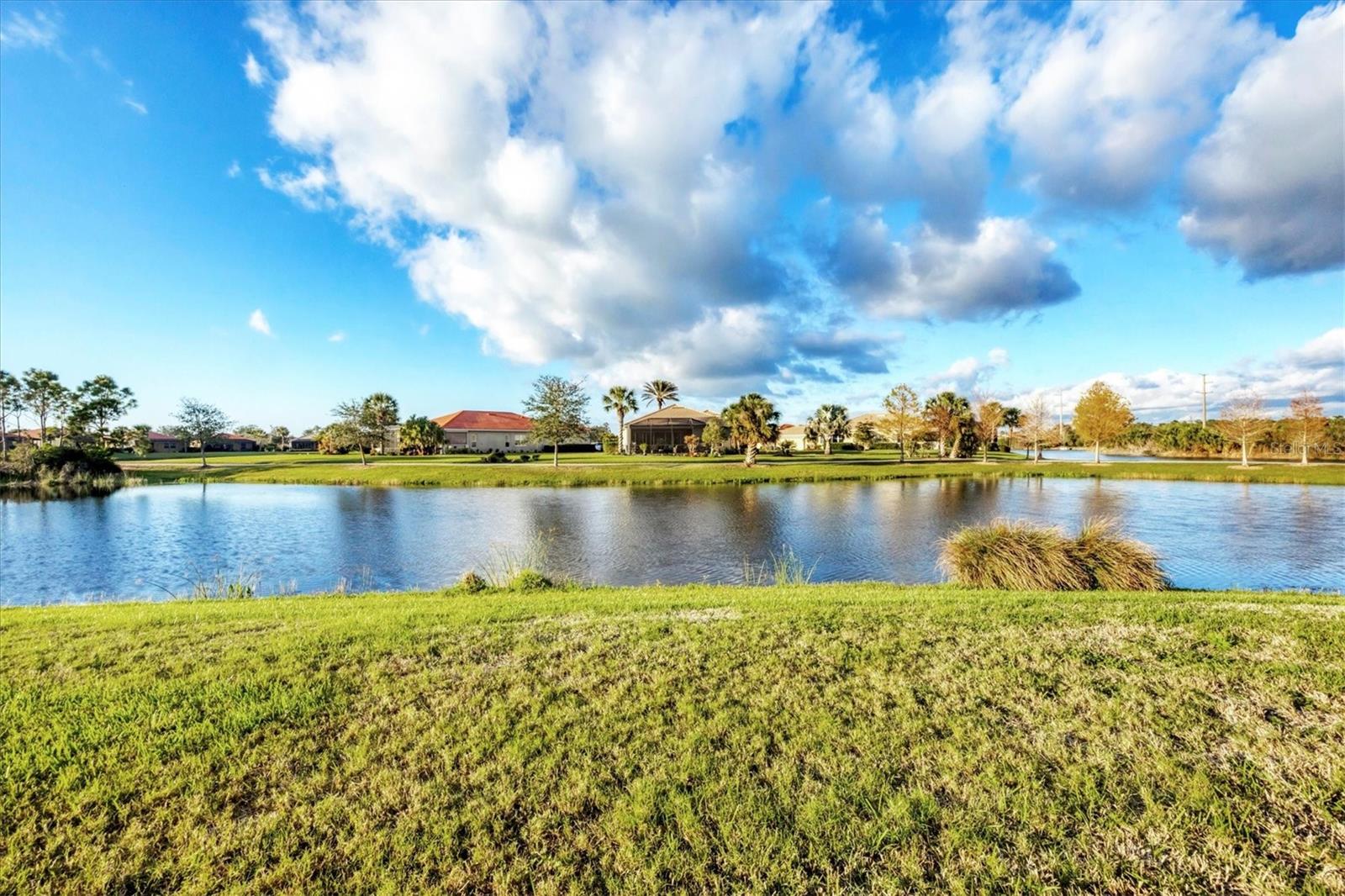 217 SAVONA WAY, NORTH VENICE, FL, 34275