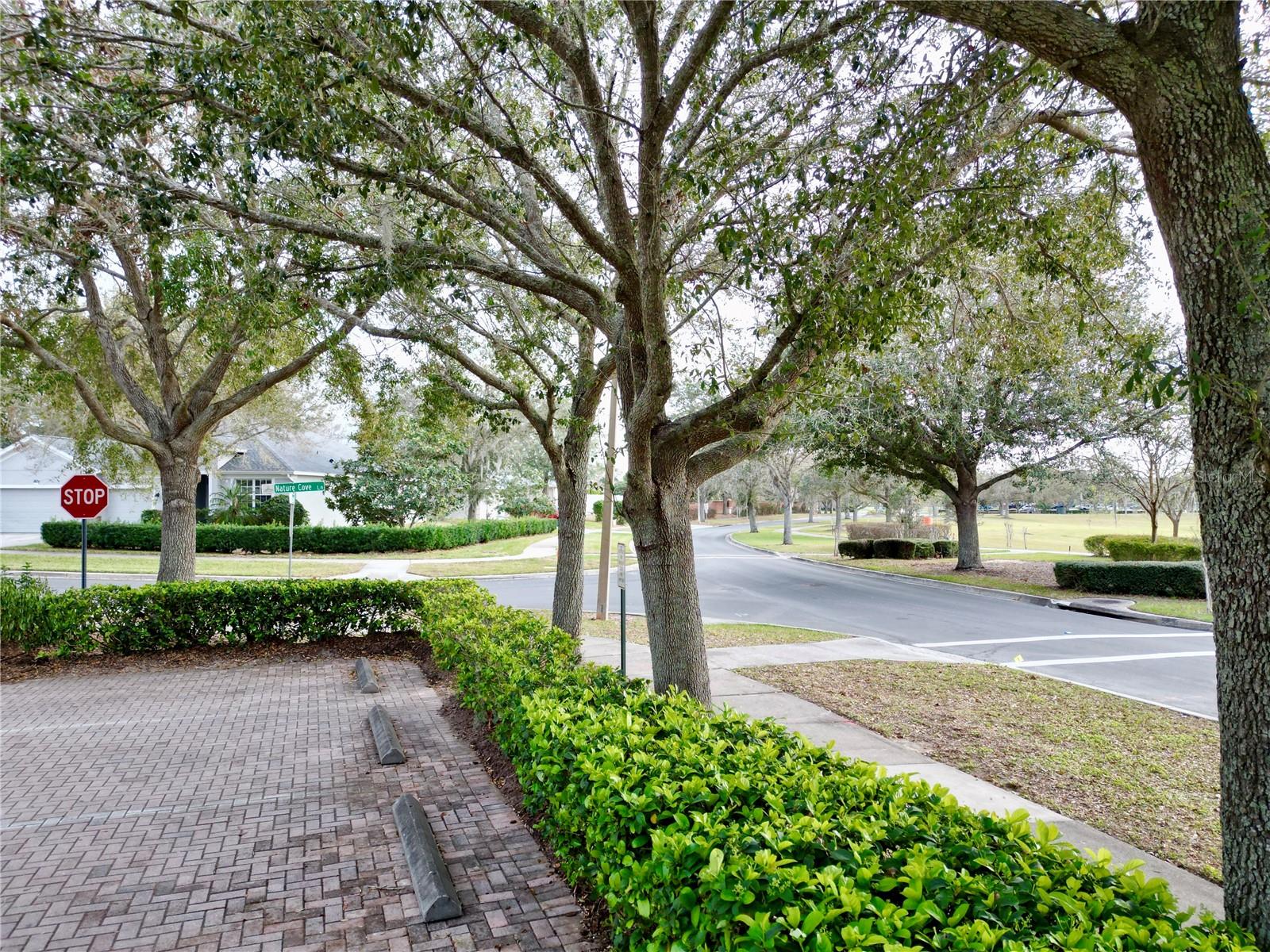 1832 NATURE COVE LN, CLERMONT, FL, 34711