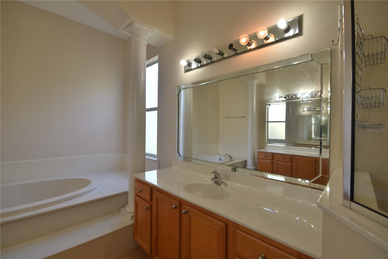 1832 NATURE COVE LN, CLERMONT, FL, 34711