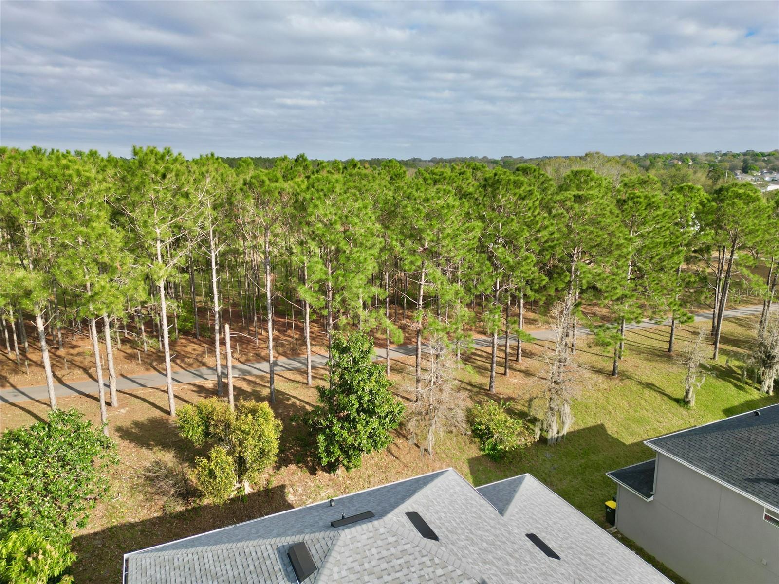 1832 NATURE COVE LN, CLERMONT, FL, 34711