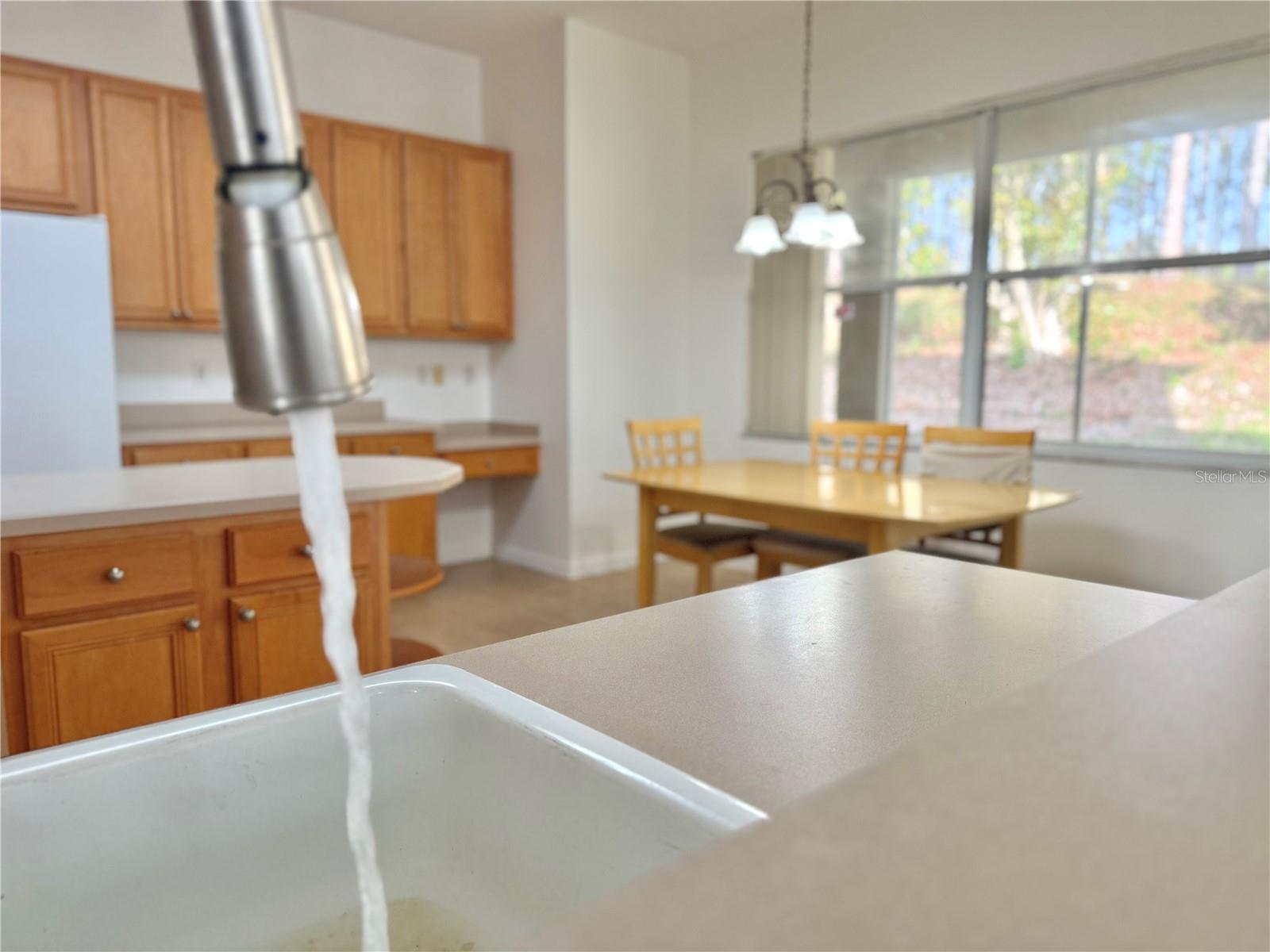 1832 NATURE COVE LN, CLERMONT, FL, 34711