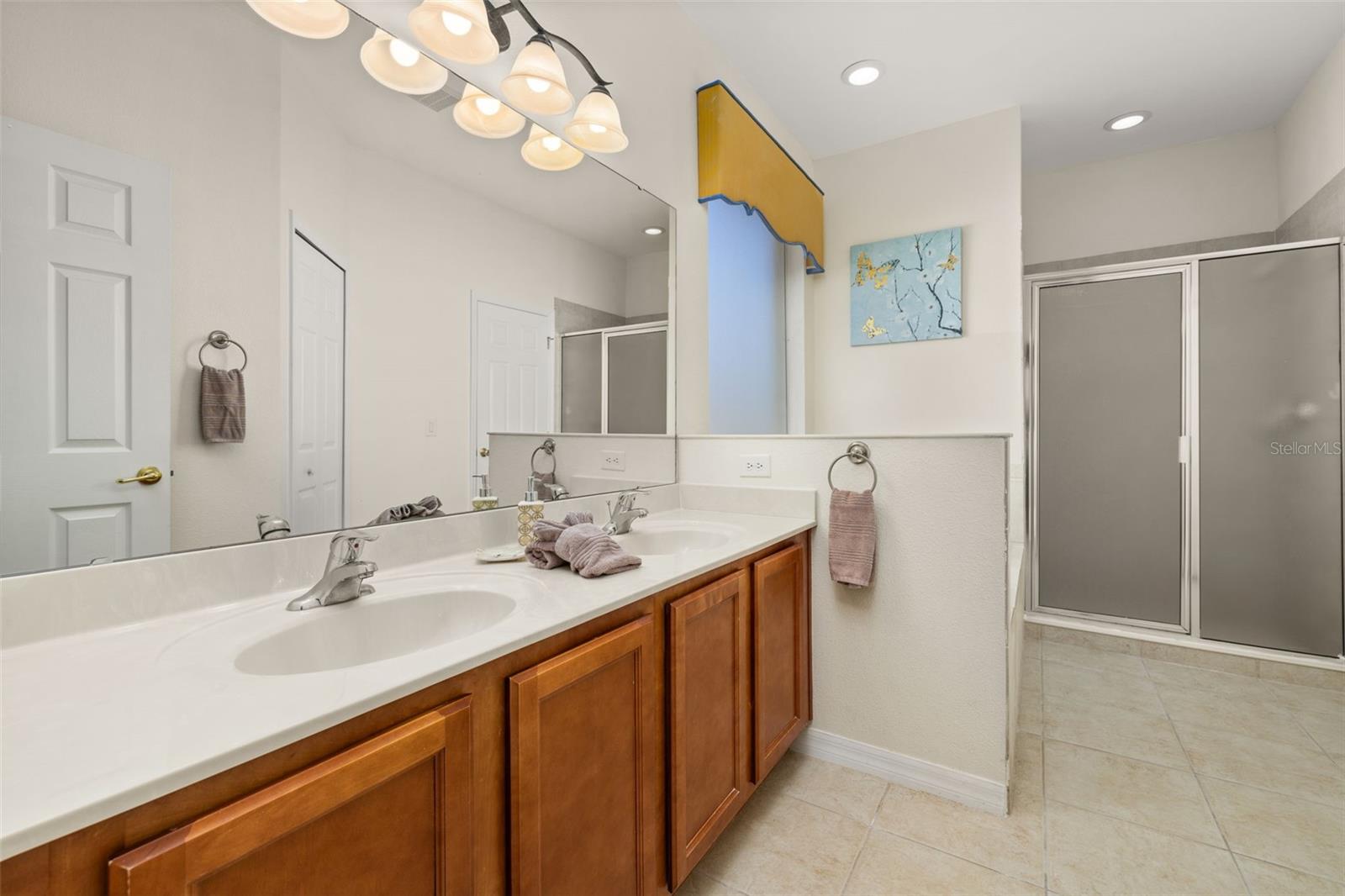 113 TIGERLILY CT, DAVENPORT, FL, 33837