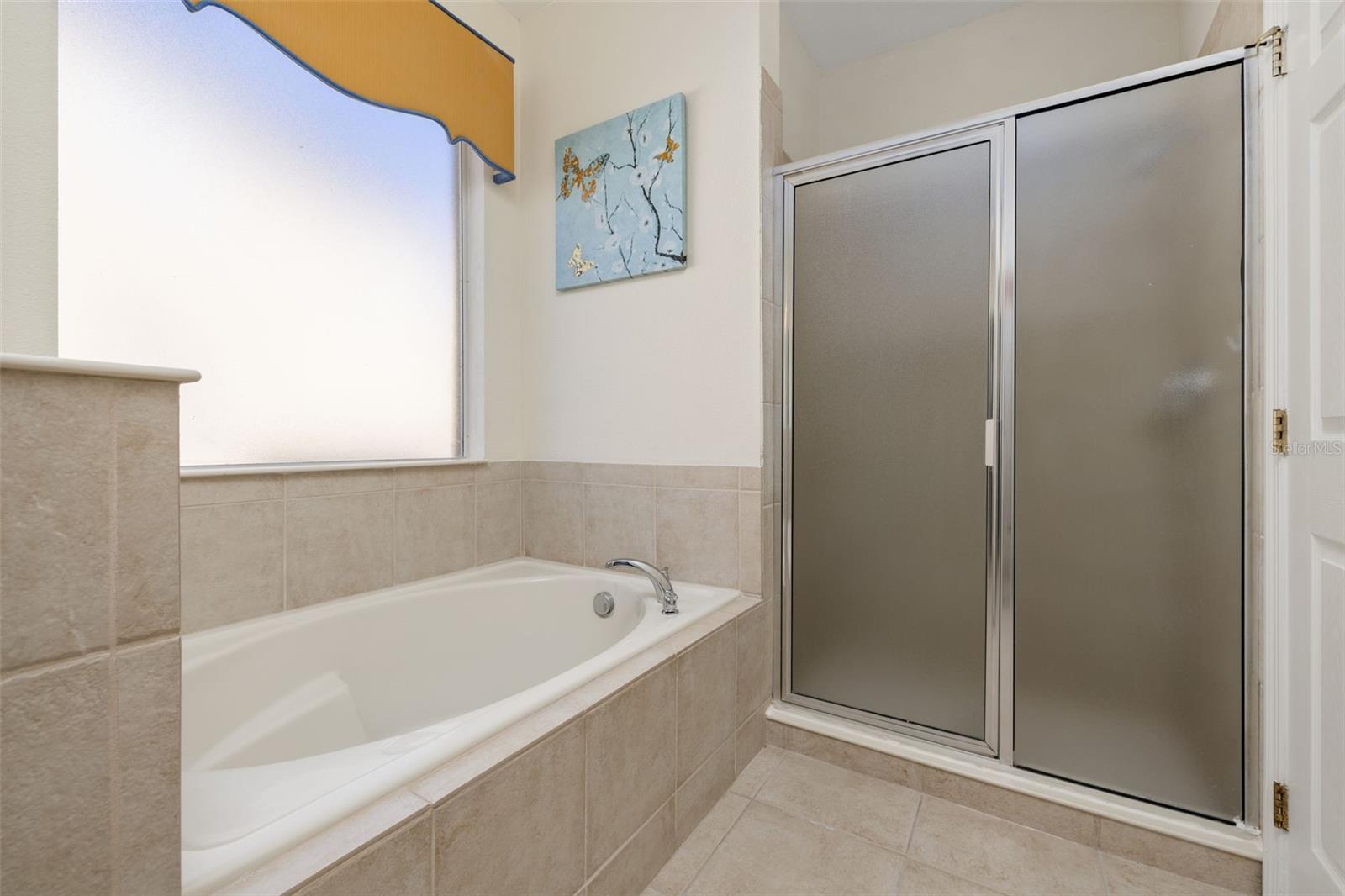 113 TIGERLILY CT, DAVENPORT, FL, 33837