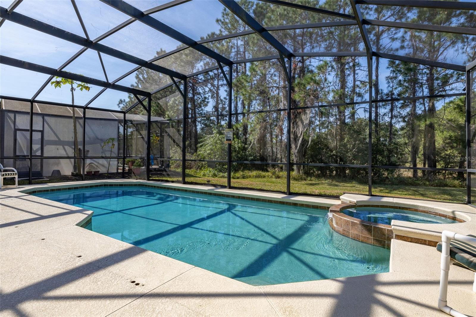 113 TIGERLILY CT, DAVENPORT, FL, 33837