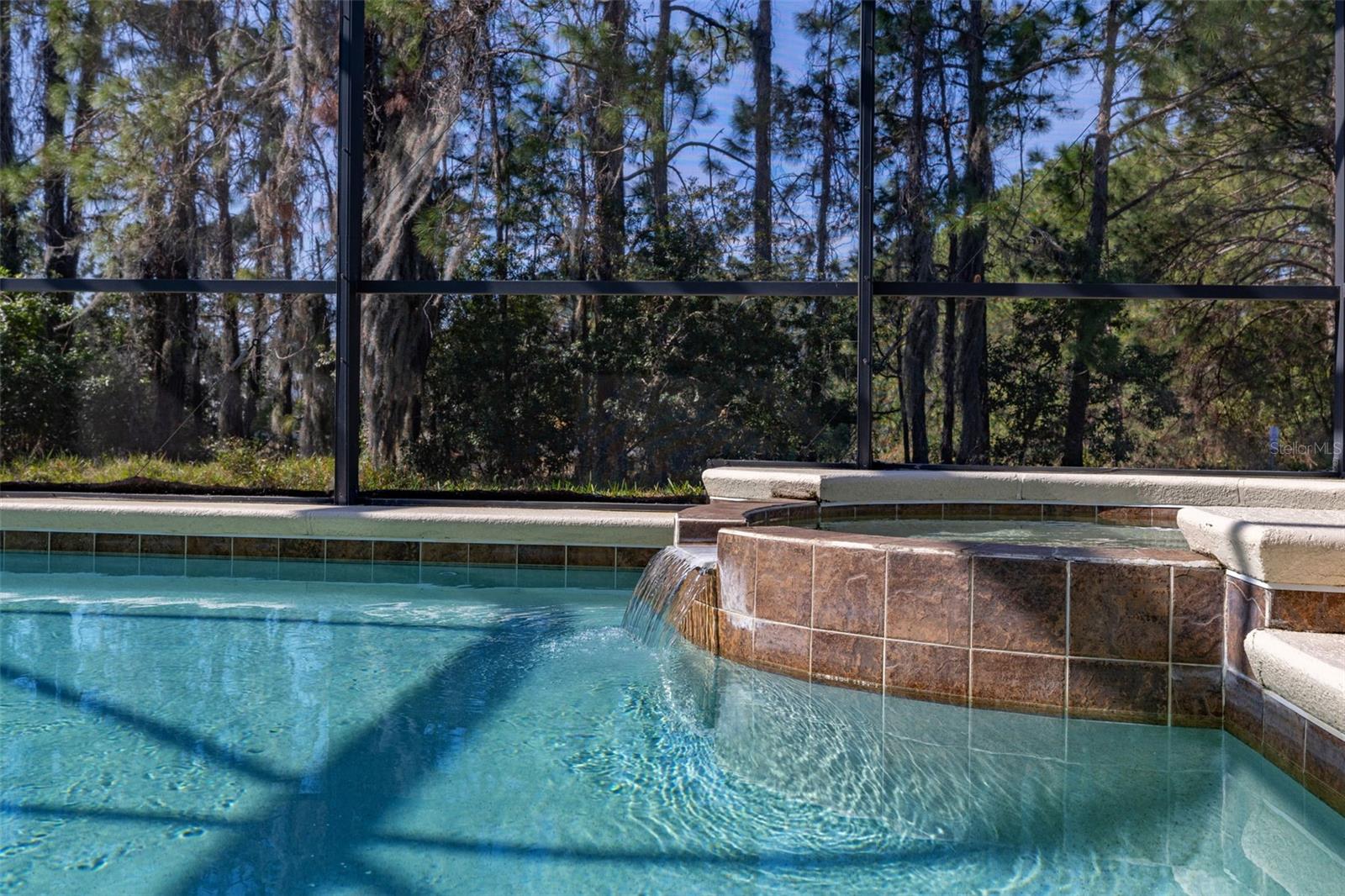 113 TIGERLILY CT, DAVENPORT, FL, 33837