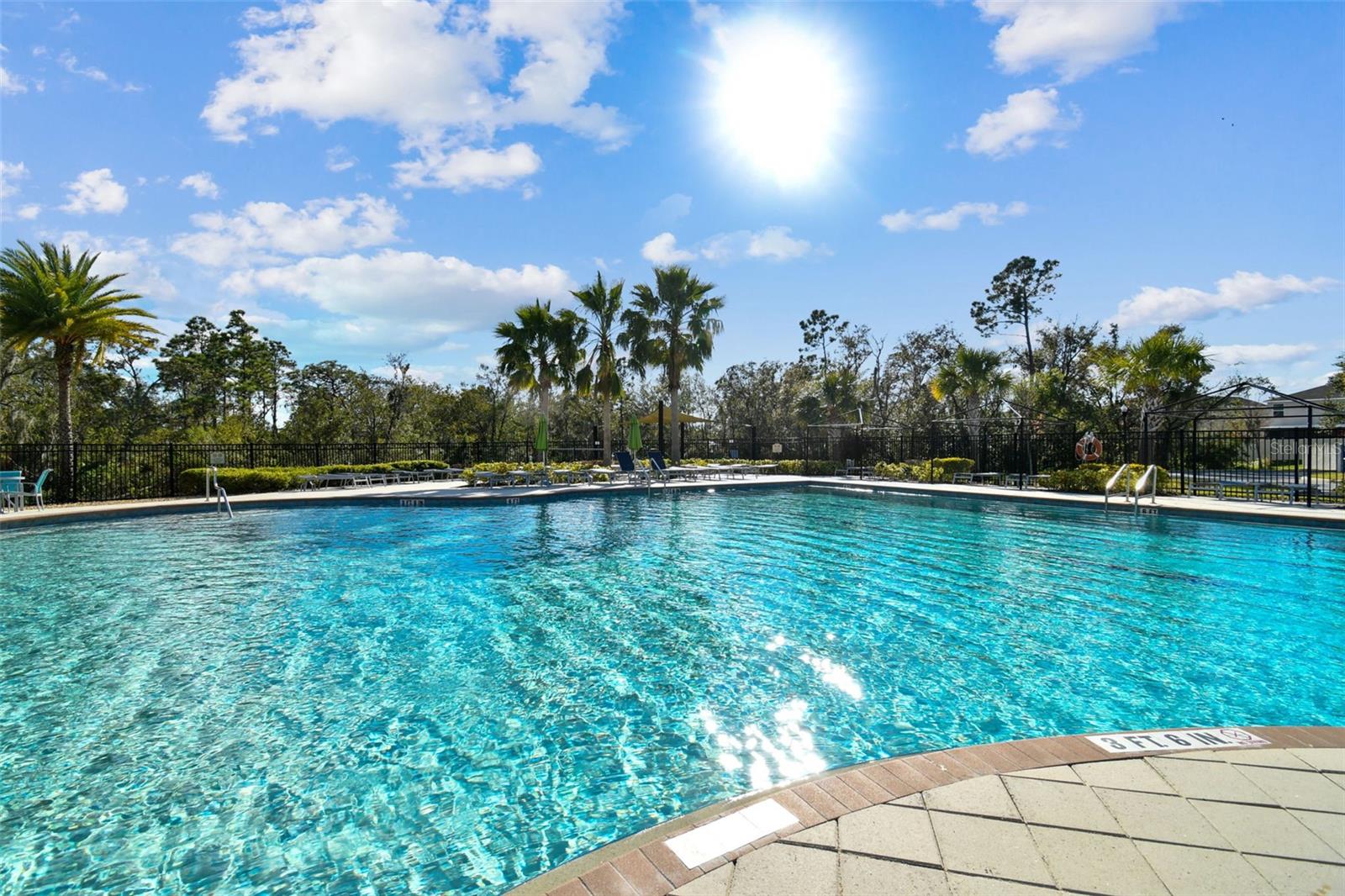 16614 MAGNOLIA RESERVE PL, WIMAUMA, FL, 33598