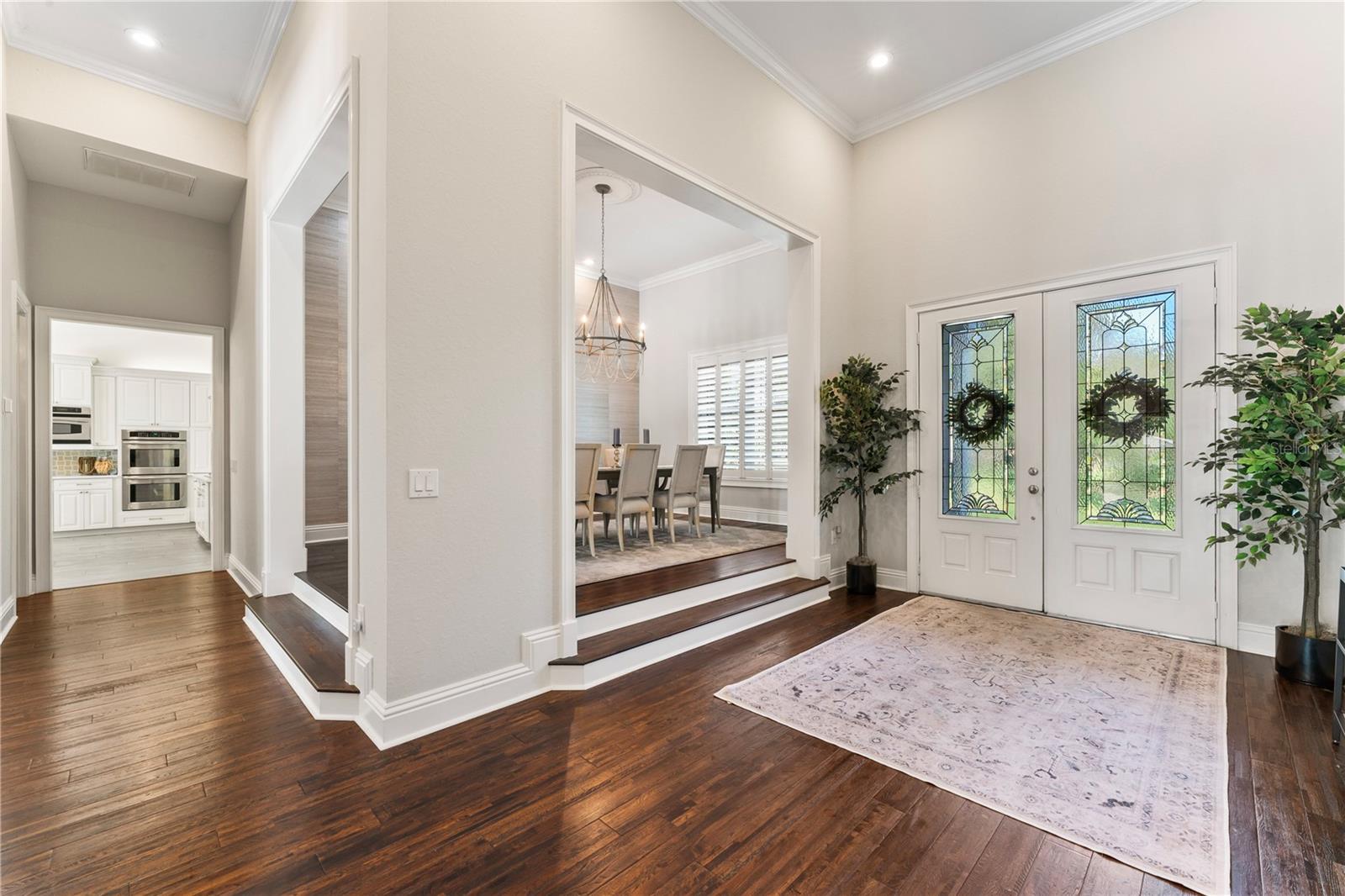 11441 HAMMOCK OAKS CT, LITHIA, FL, 33547