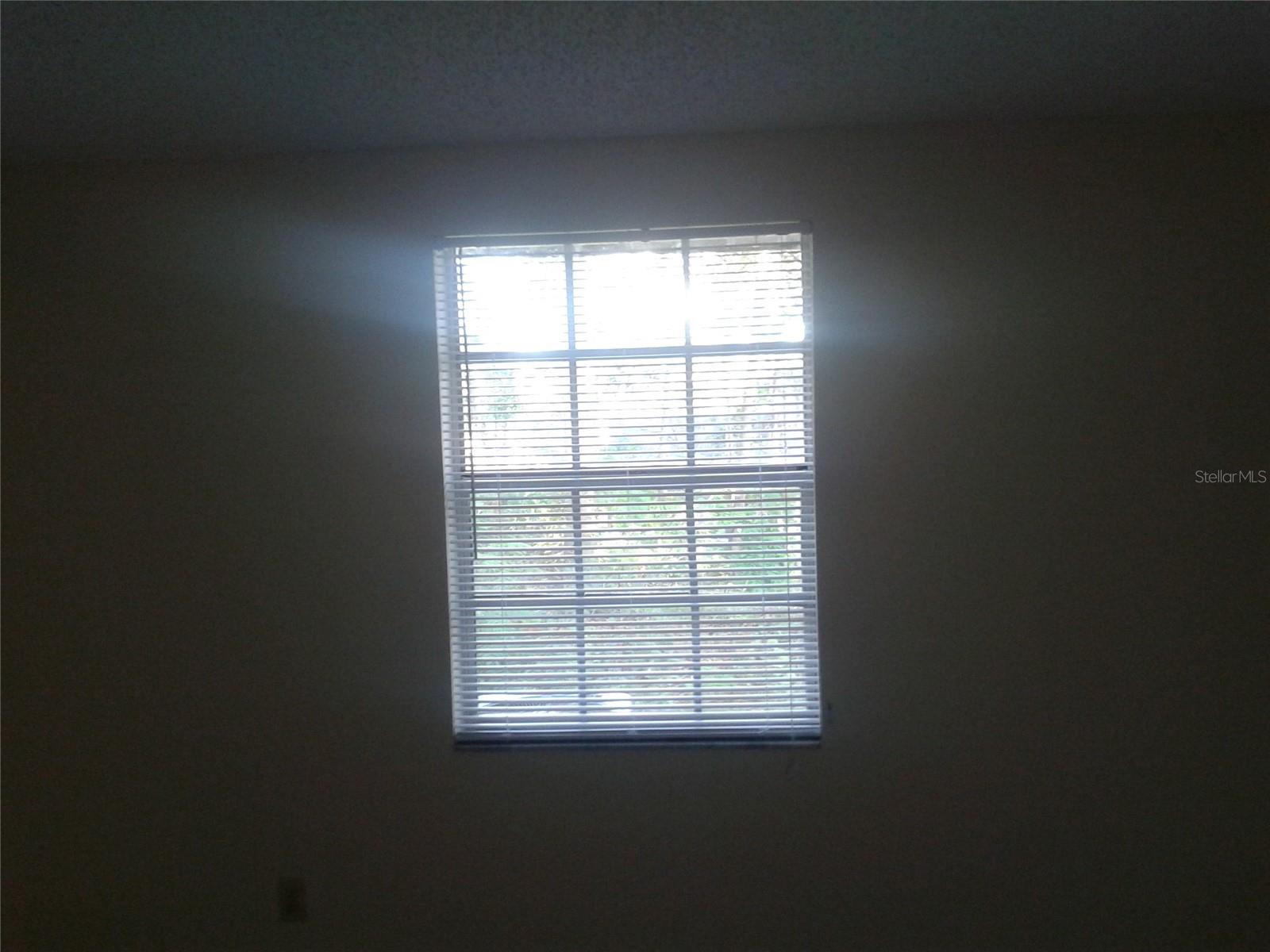 11613 SE 57TH AVE, BELLEVIEW, FL, 34420