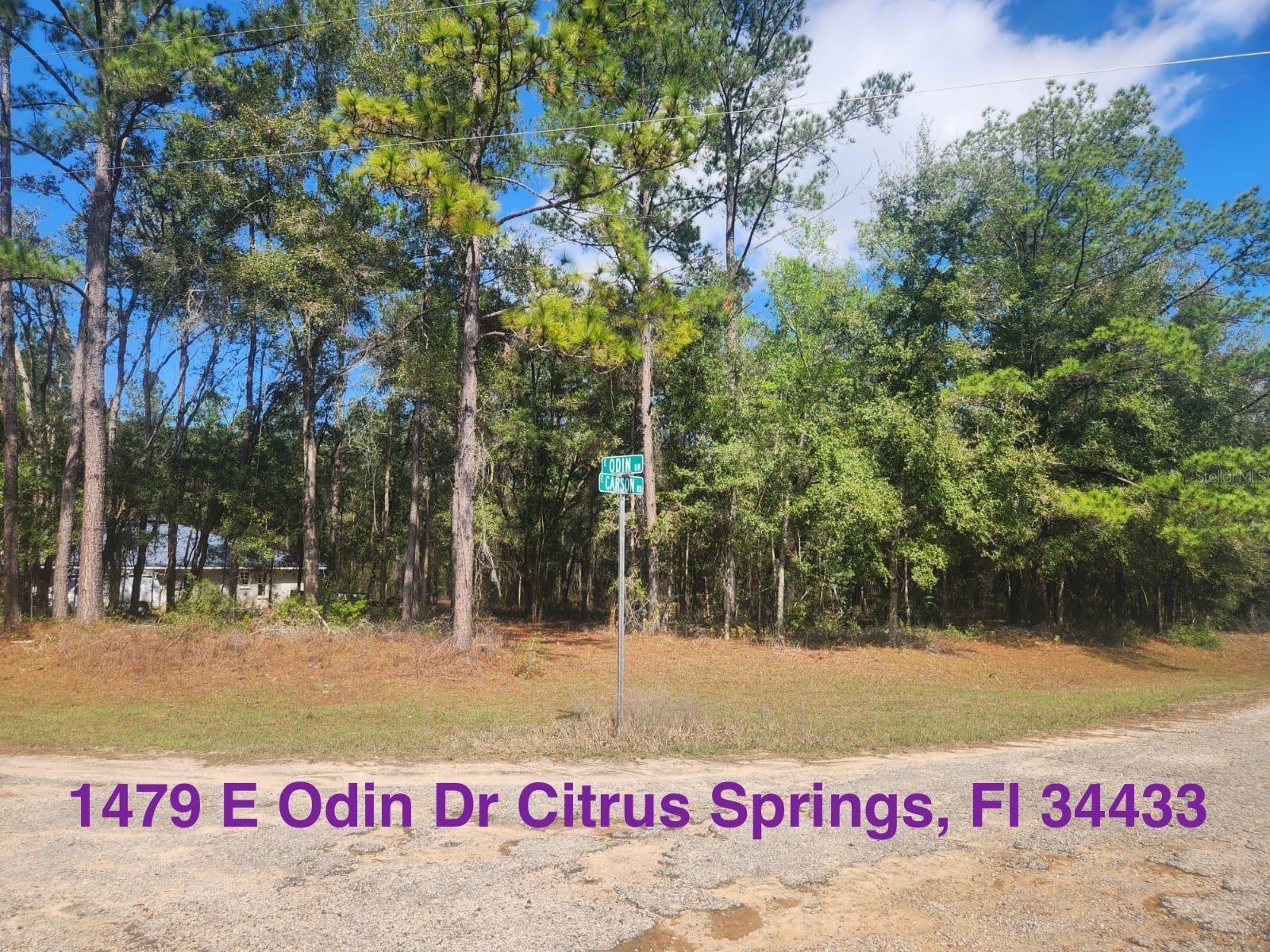 1479 E ODIN DR, CITRUS SPRINGS, FL, 34433