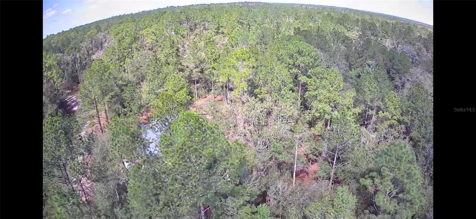 1479 E ODIN DR, CITRUS SPRINGS, FL, 34433