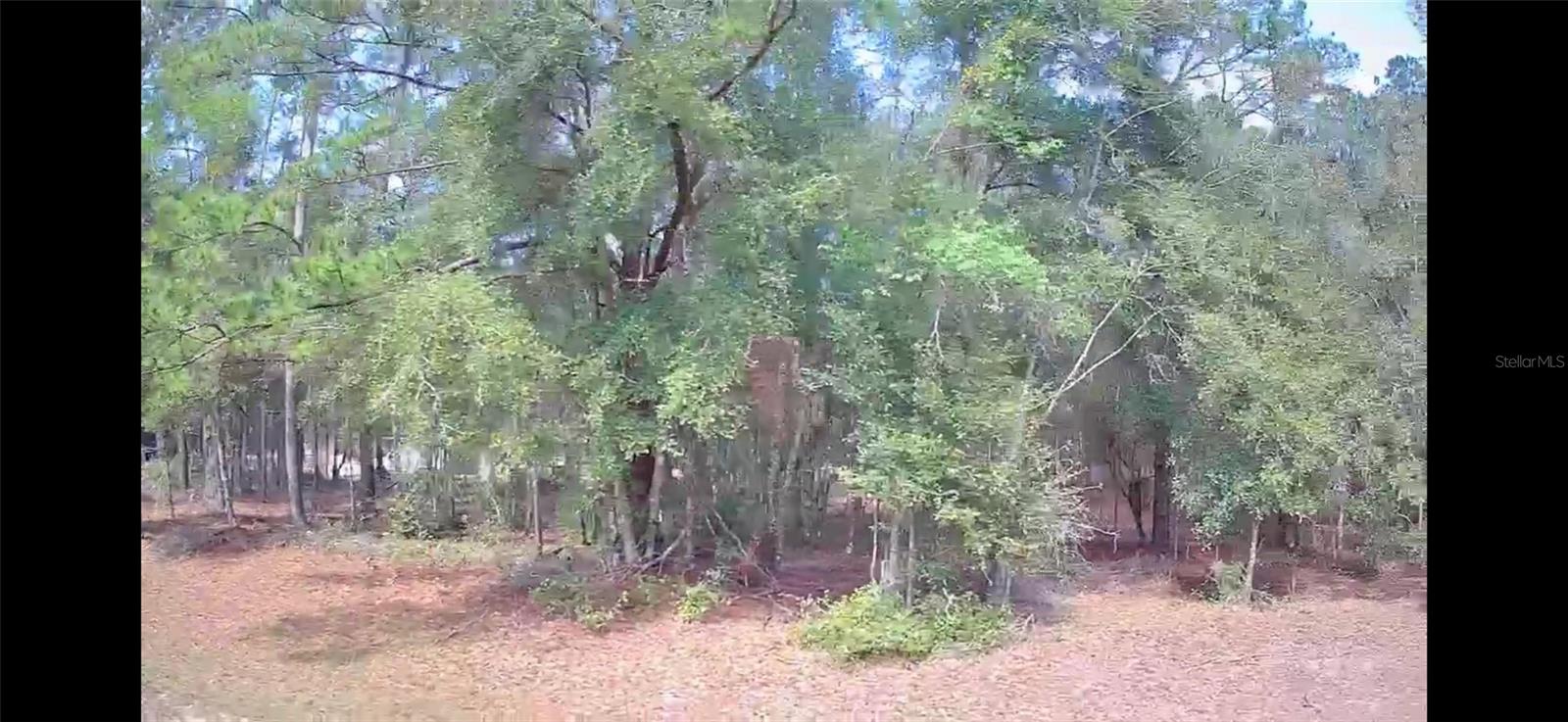 1479 E ODIN DR, CITRUS SPRINGS, FL, 34433