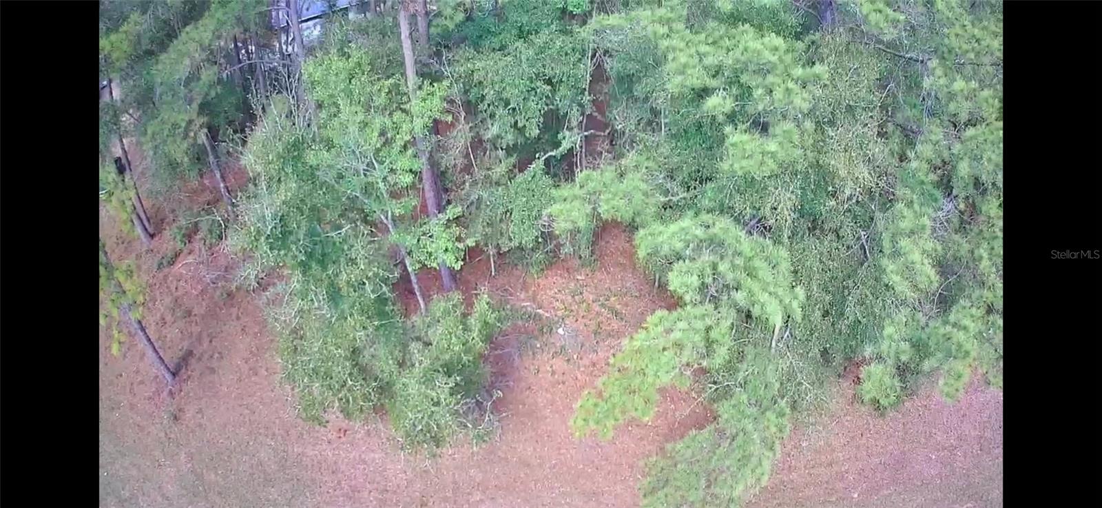 1479 E ODIN DR, CITRUS SPRINGS, FL, 34433