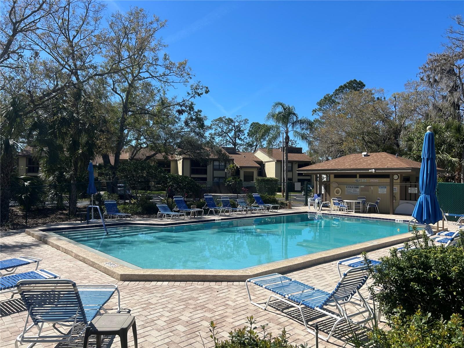 233 WOODLAKE WYNDE, OLDSMAR, FL, 34677