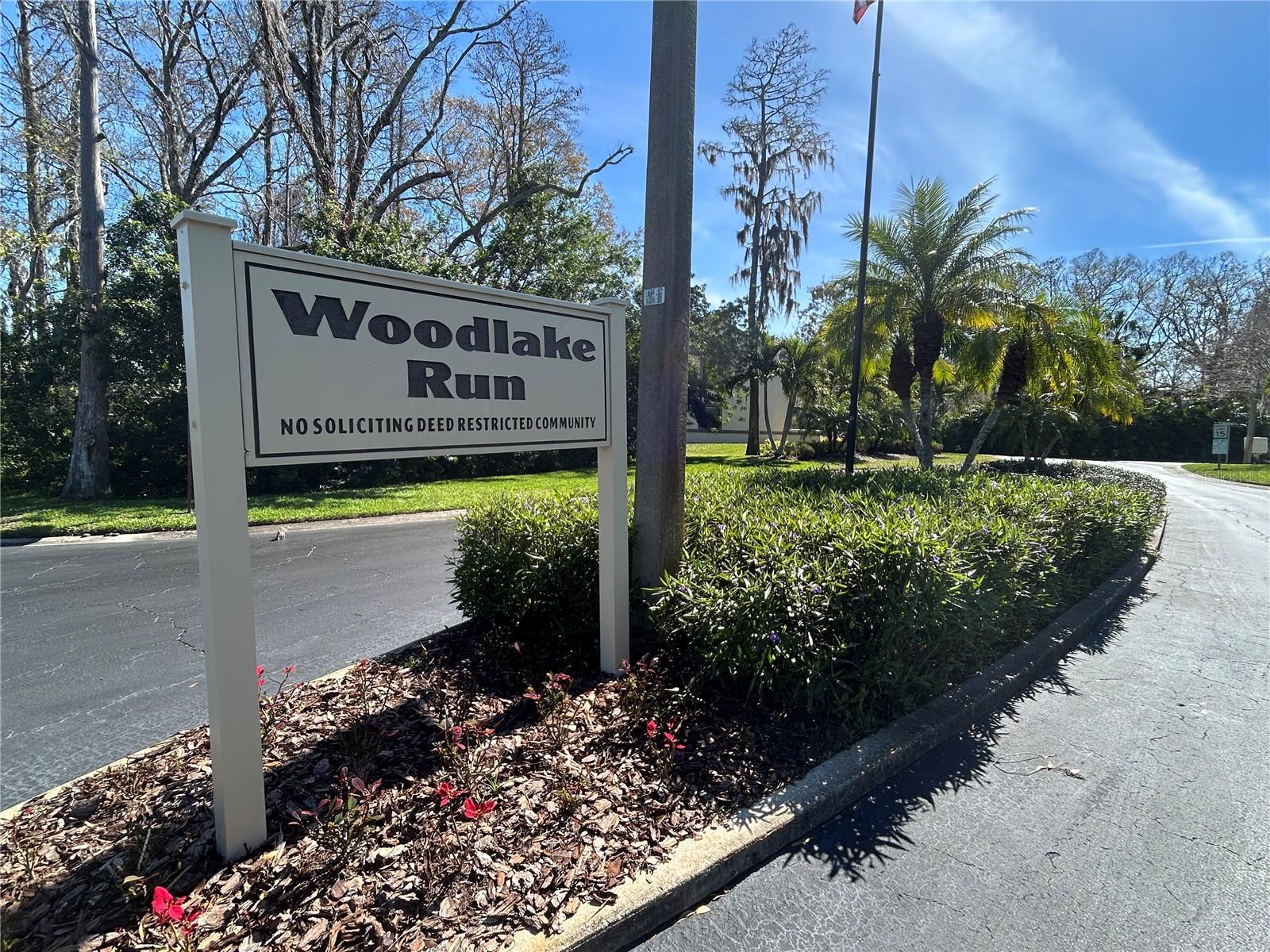 233 WOODLAKE WYNDE, OLDSMAR, FL, 34677