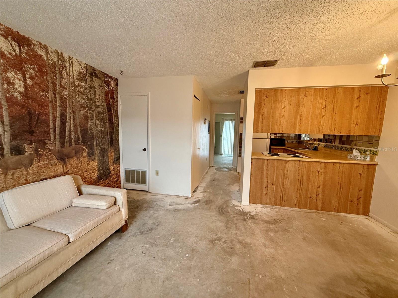 15 LAKE VILLA WAY, KISSIMMEE, FL, 34743