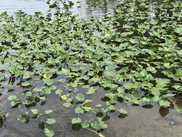 1754 LAKE ST, OVIEDO, FL, 32765