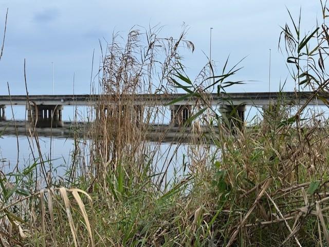 1754 LAKE ST, OVIEDO, FL, 32765