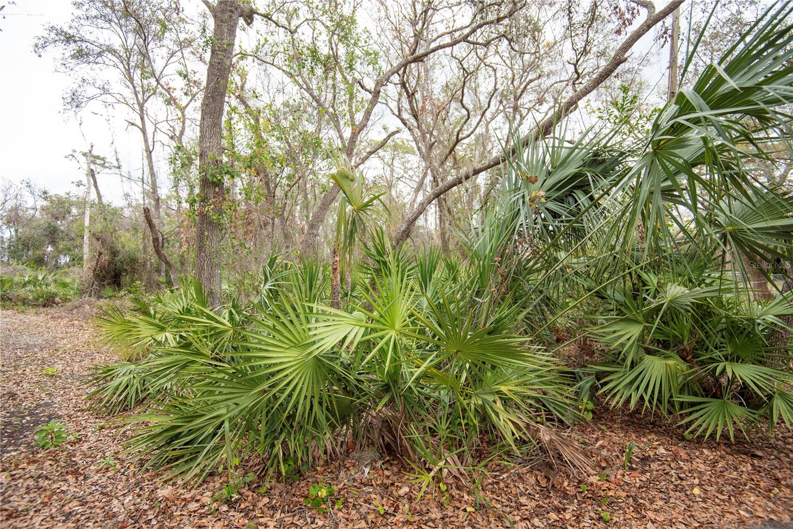 ELLIOT ST, RIVERVIEW, FL, 33578