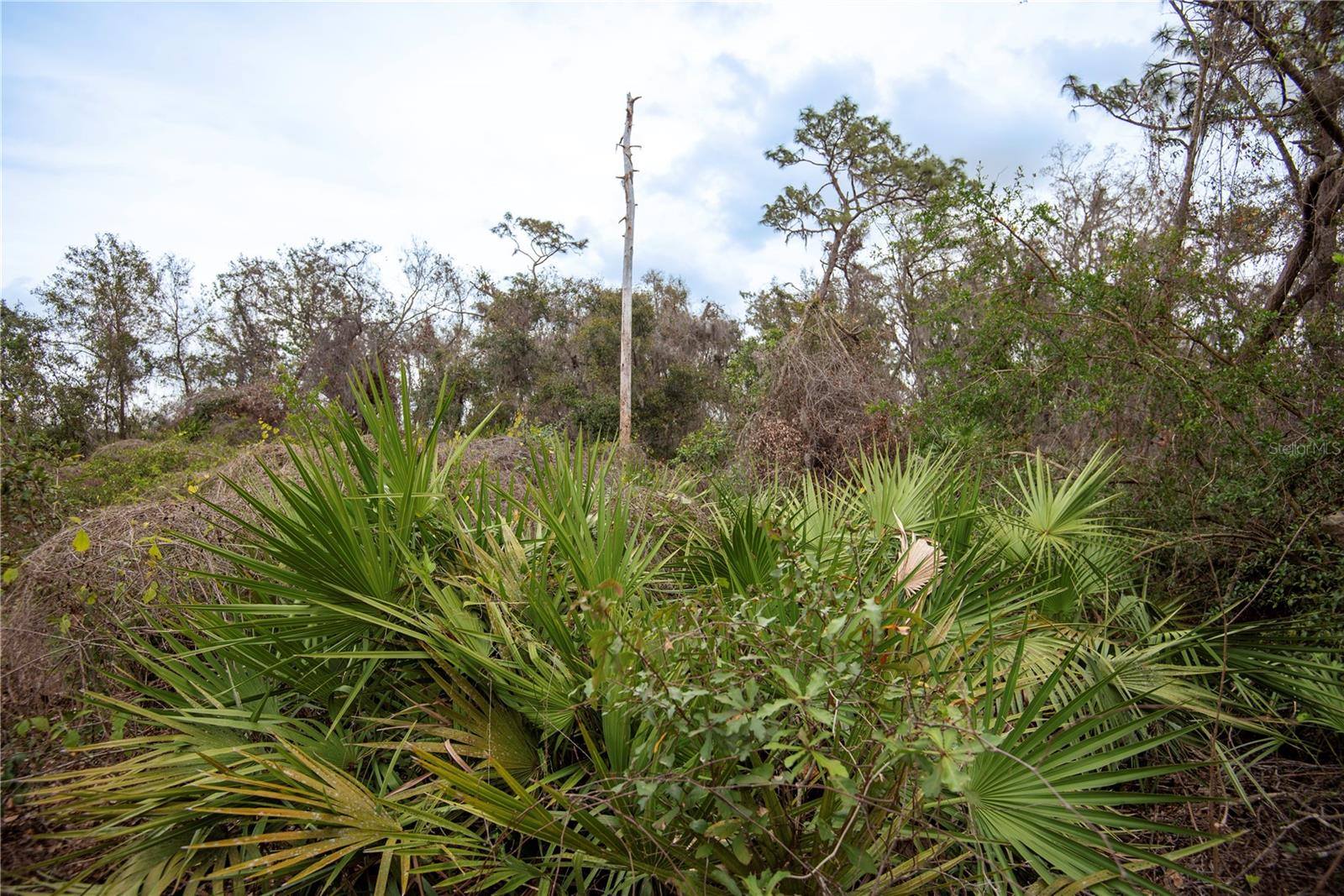 ELLIOT ST, RIVERVIEW, FL, 33578