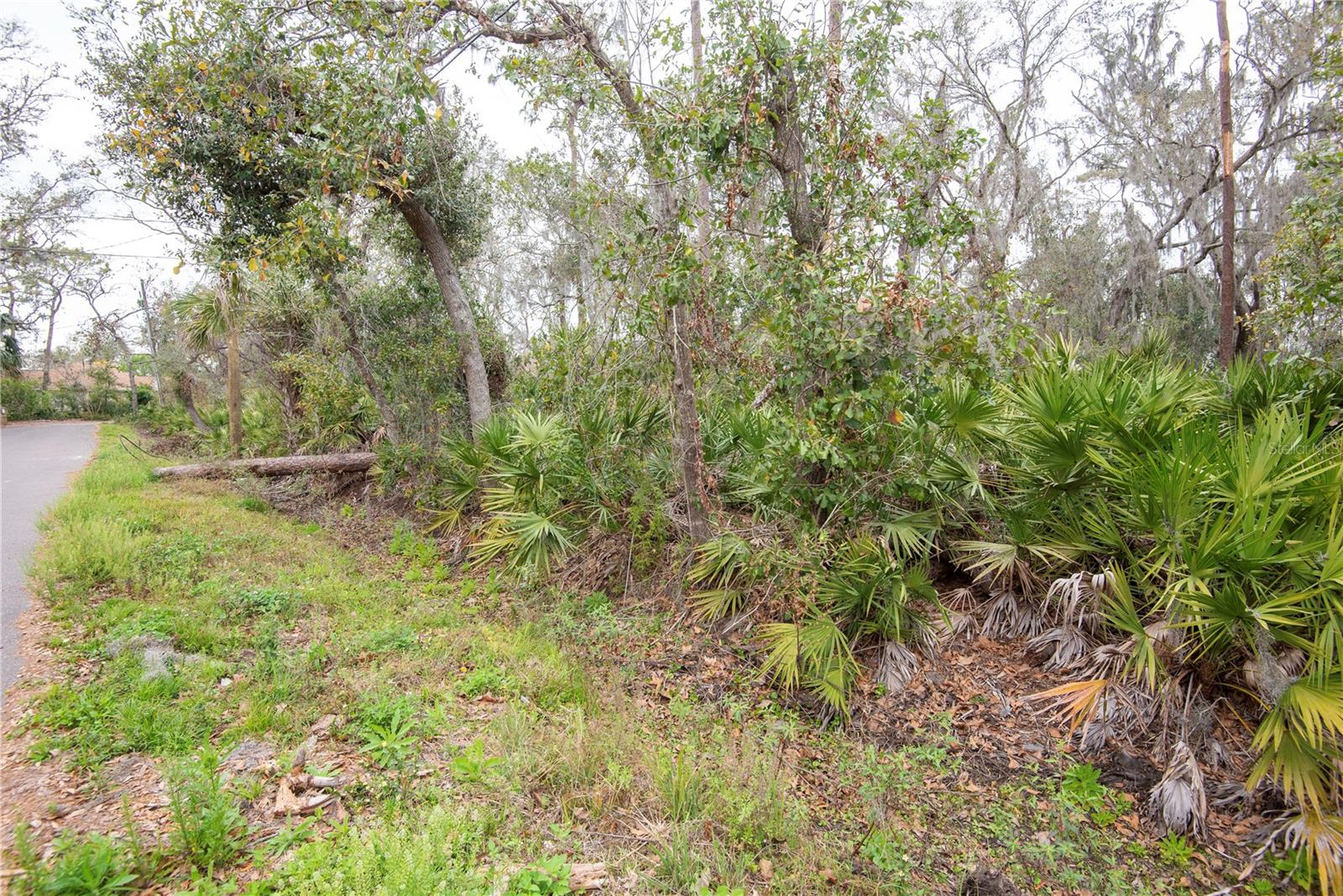 ELLIOT ST, RIVERVIEW, FL, 33578