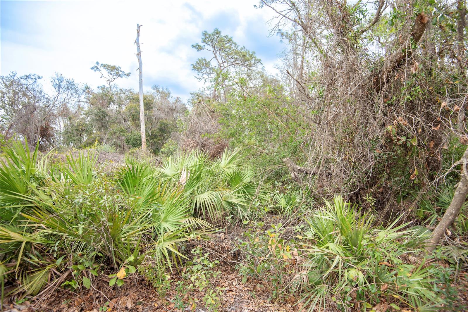 ELLIOT ST, RIVERVIEW, FL, 33578