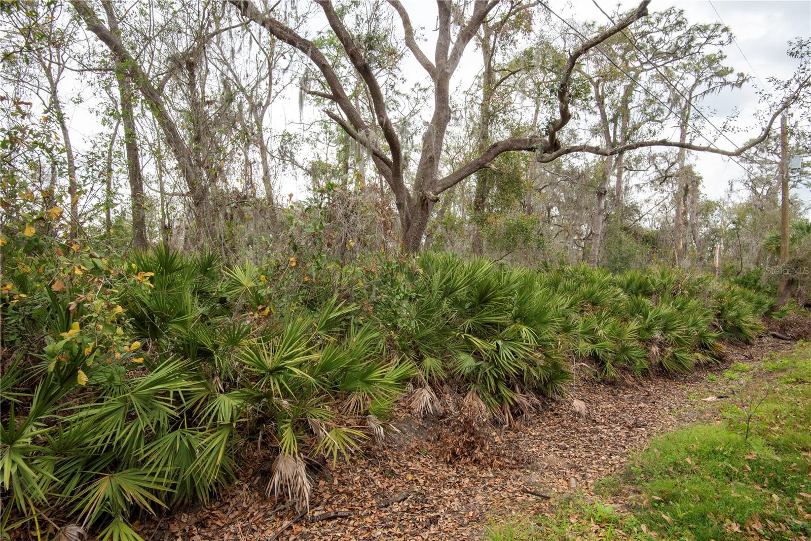 ELLIOT ST, RIVERVIEW, FL, 33578