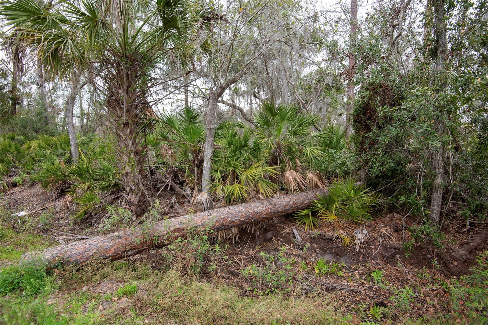 ELLIOT ST, RIVERVIEW, FL, 33578