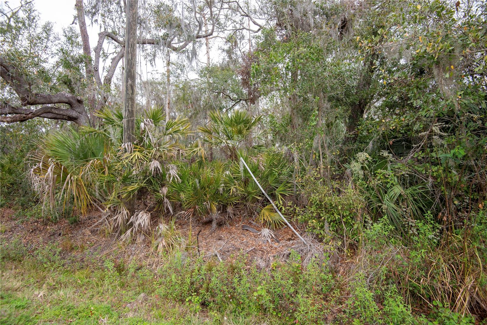 ELLIOT ST, RIVERVIEW, FL, 33578