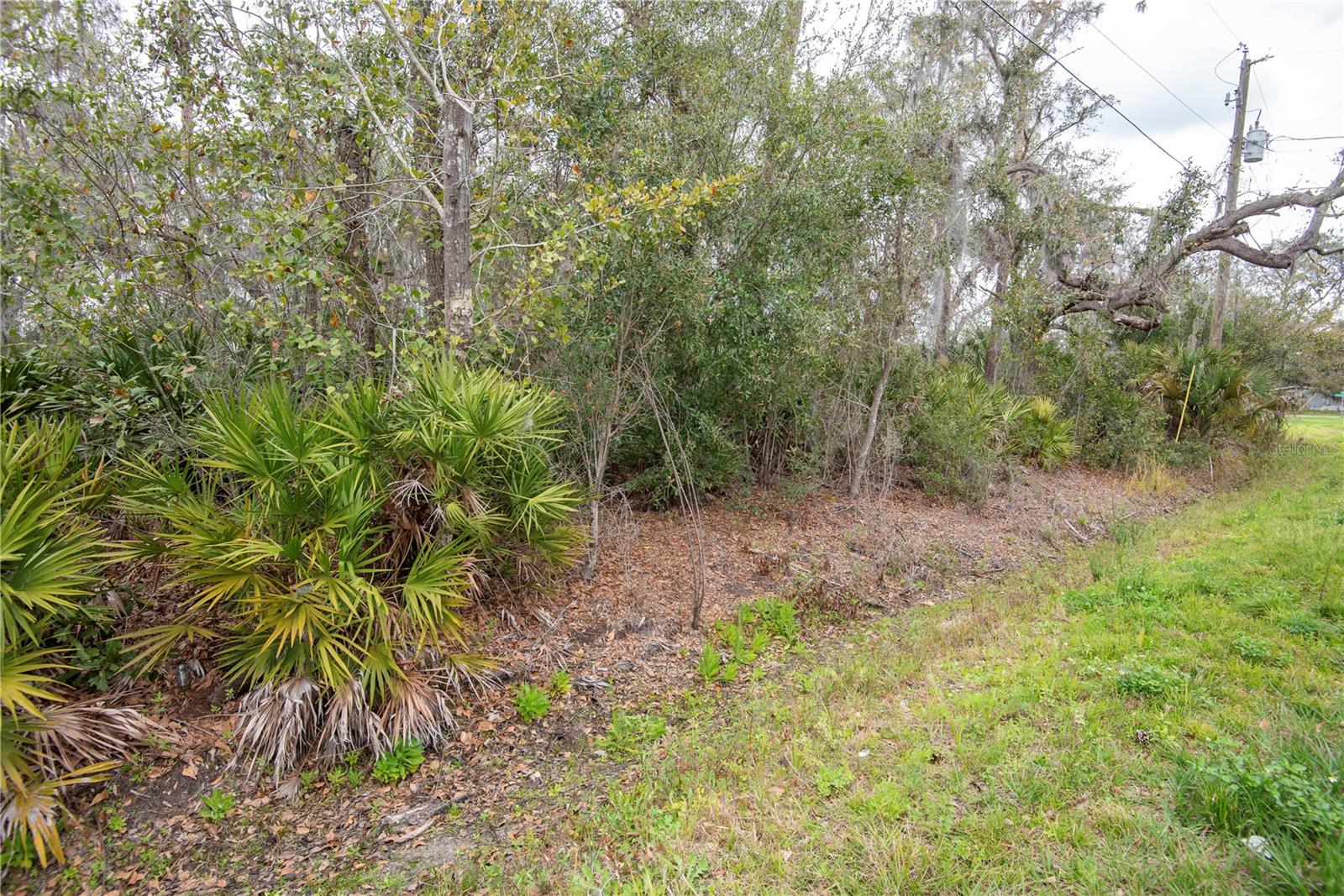 ELLIOT ST, RIVERVIEW, FL, 33578