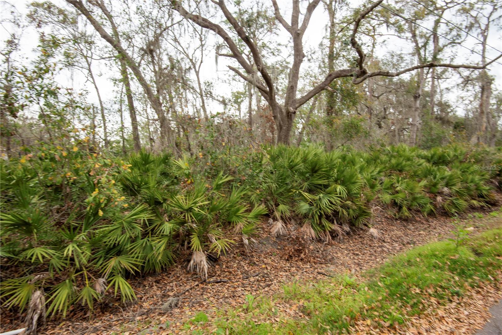 ELLIOT ST, RIVERVIEW, FL, 33578