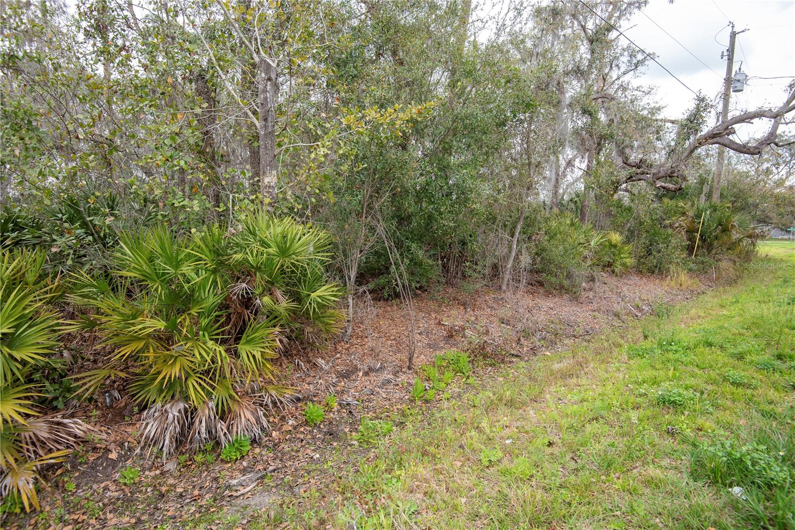 ELLIOT ST, RIVERVIEW, FL, 33578