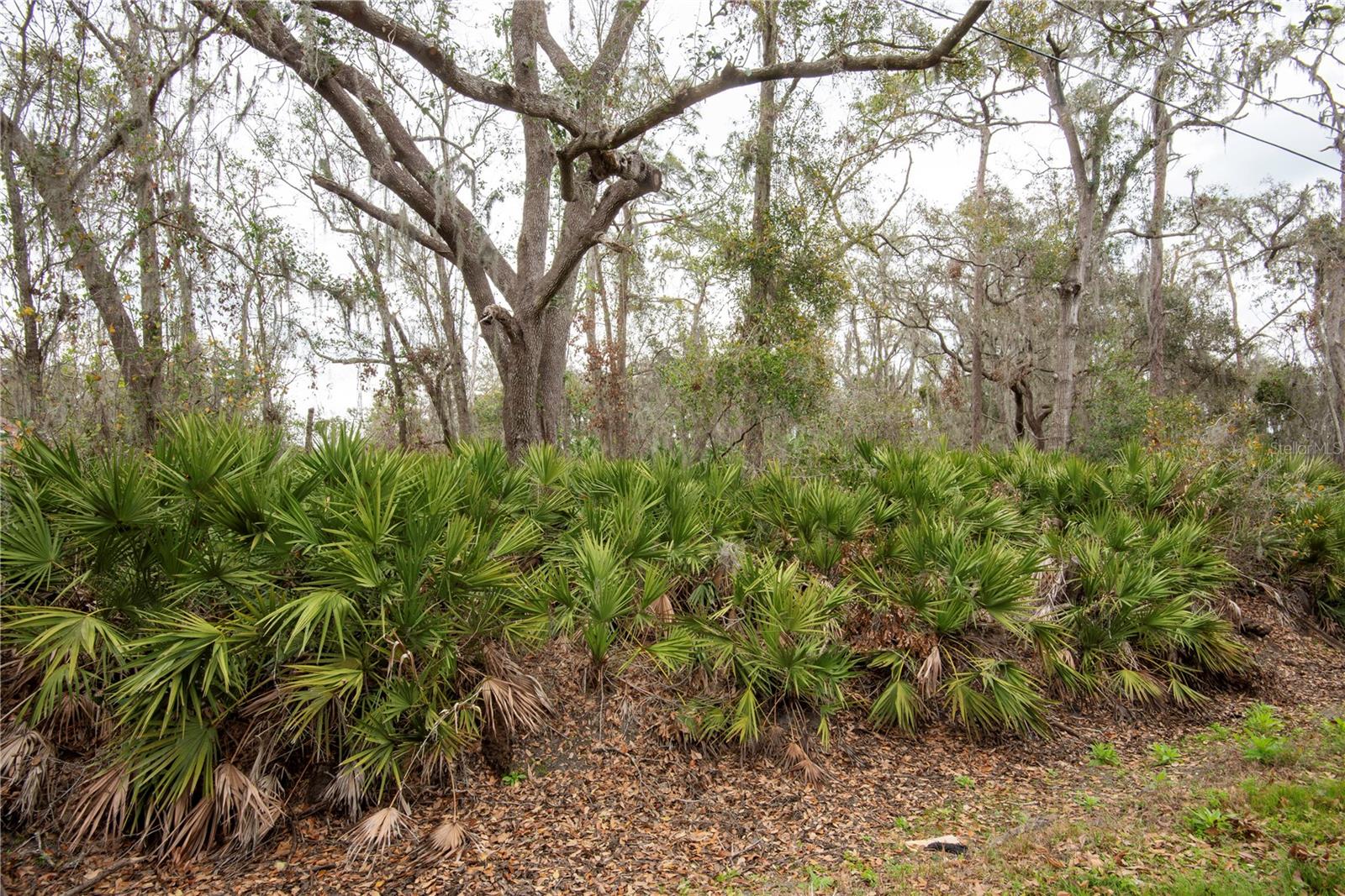 ELLIOT ST, RIVERVIEW, FL, 33578