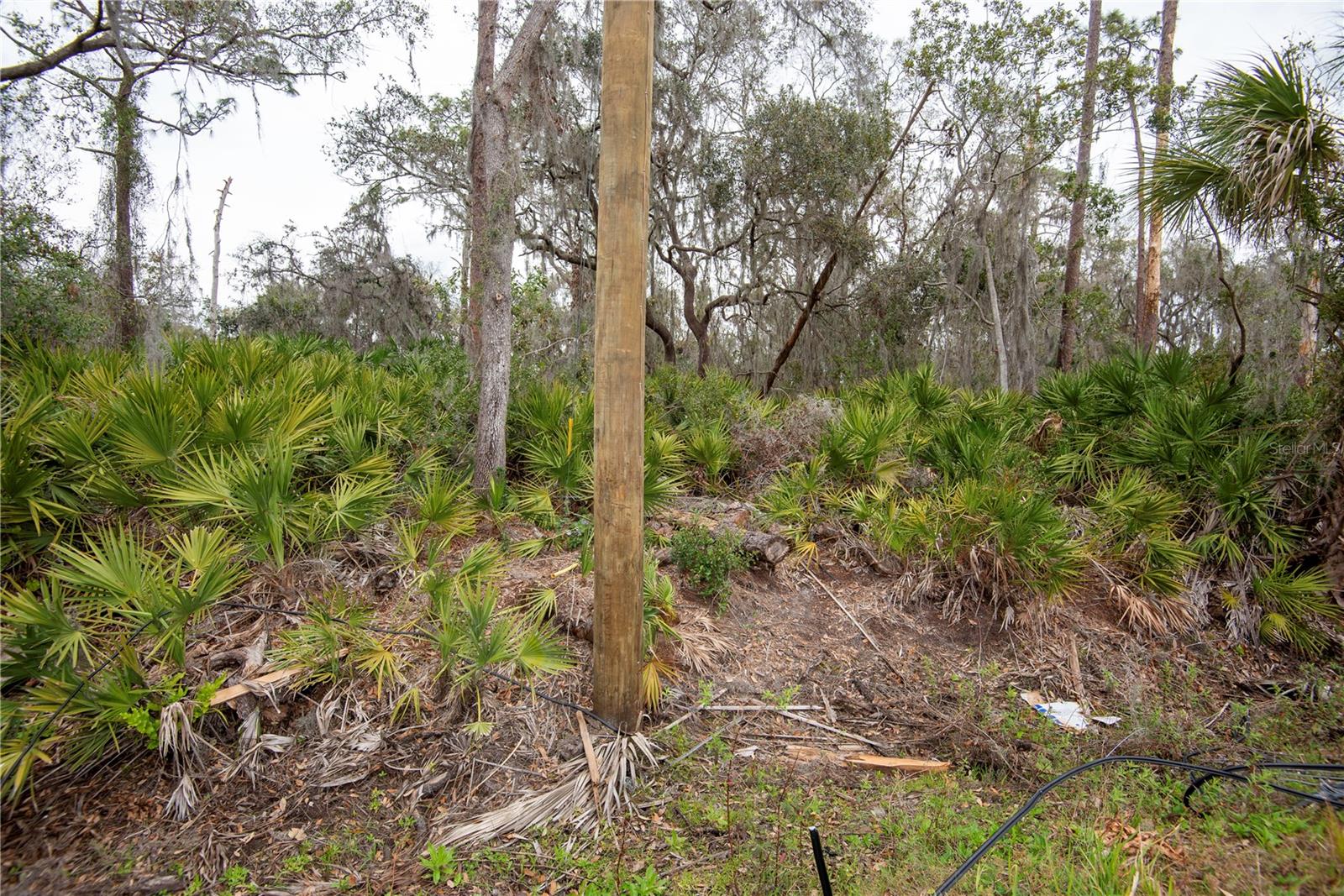 ELLIOT ST, RIVERVIEW, FL, 33578