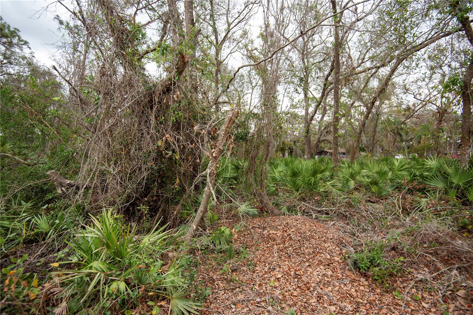 ELLIOT ST, RIVERVIEW, FL, 33578